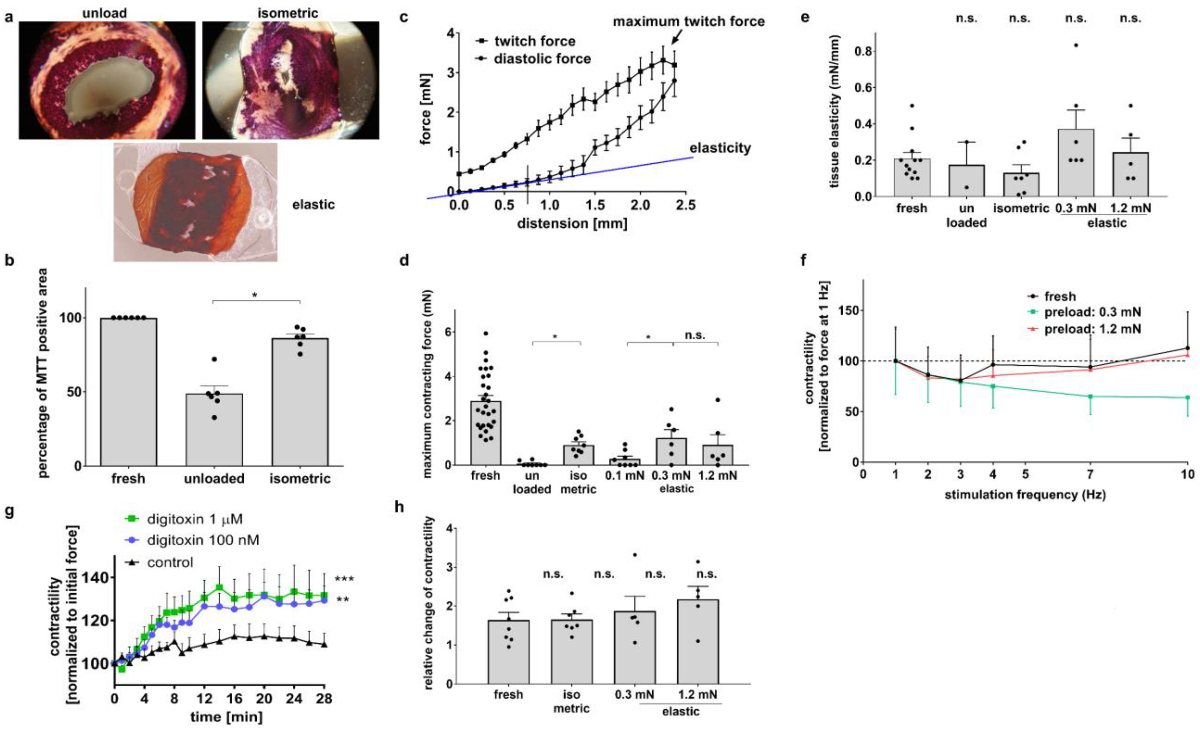 Bioengineering 10 00171 g002