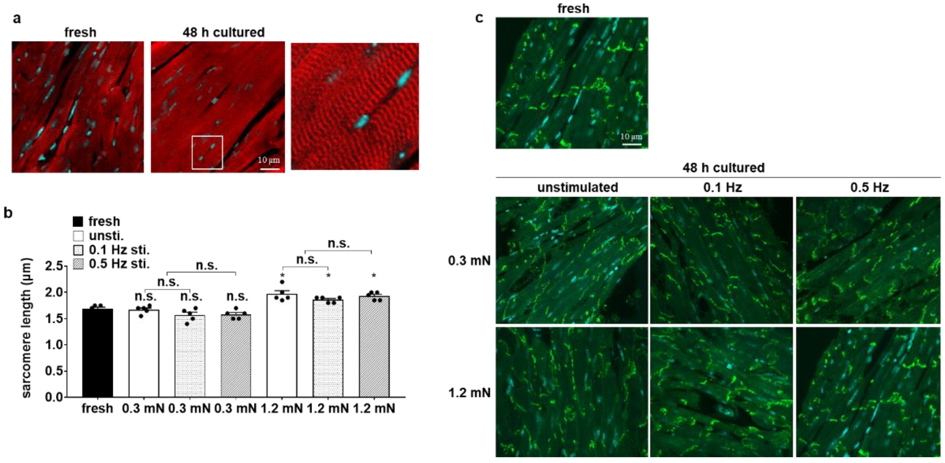 Bioengineering 10 00171 g004
