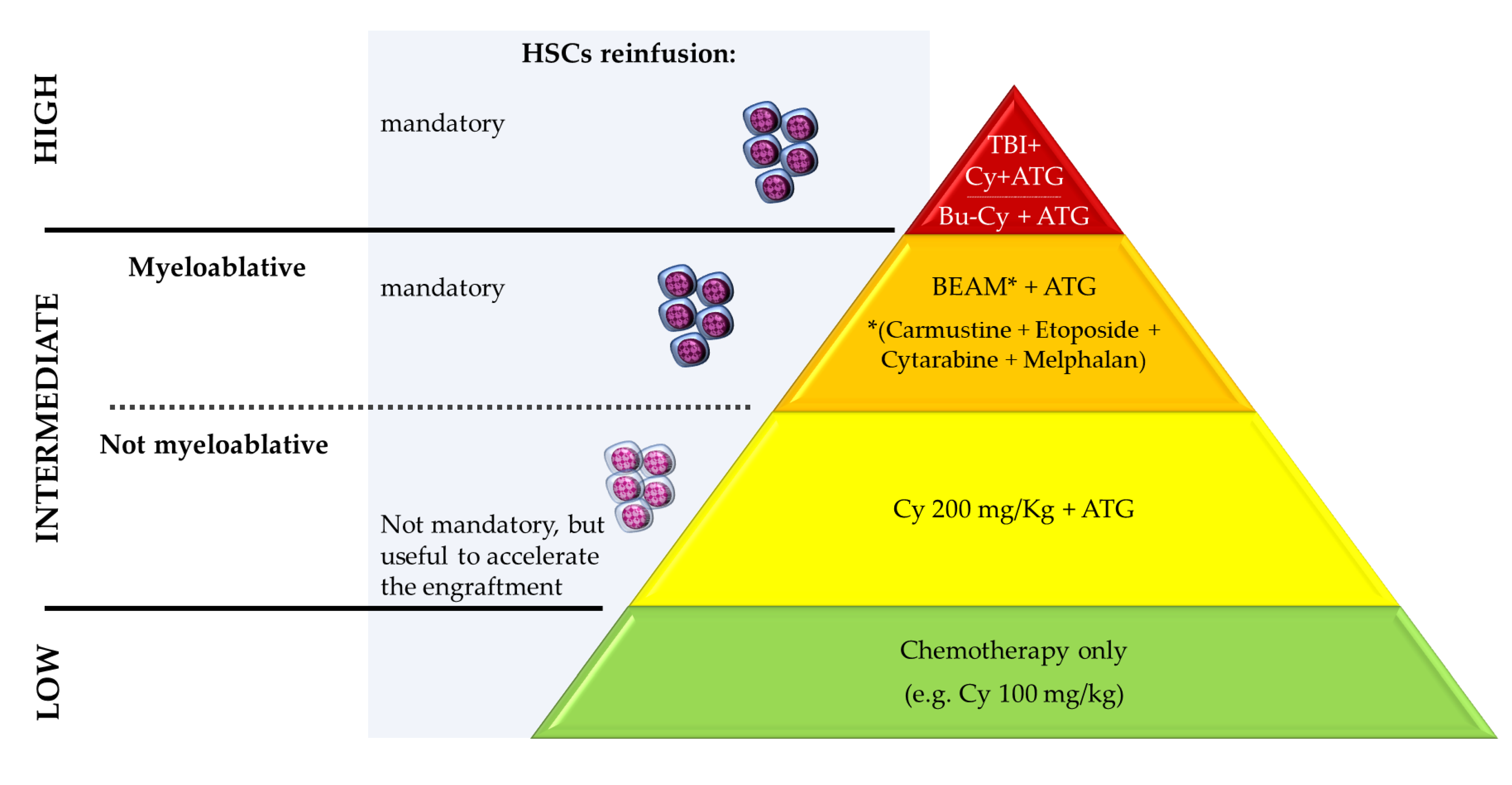 Bioengineering 10 00176 g002 Bioengineering 10 00176 g002
