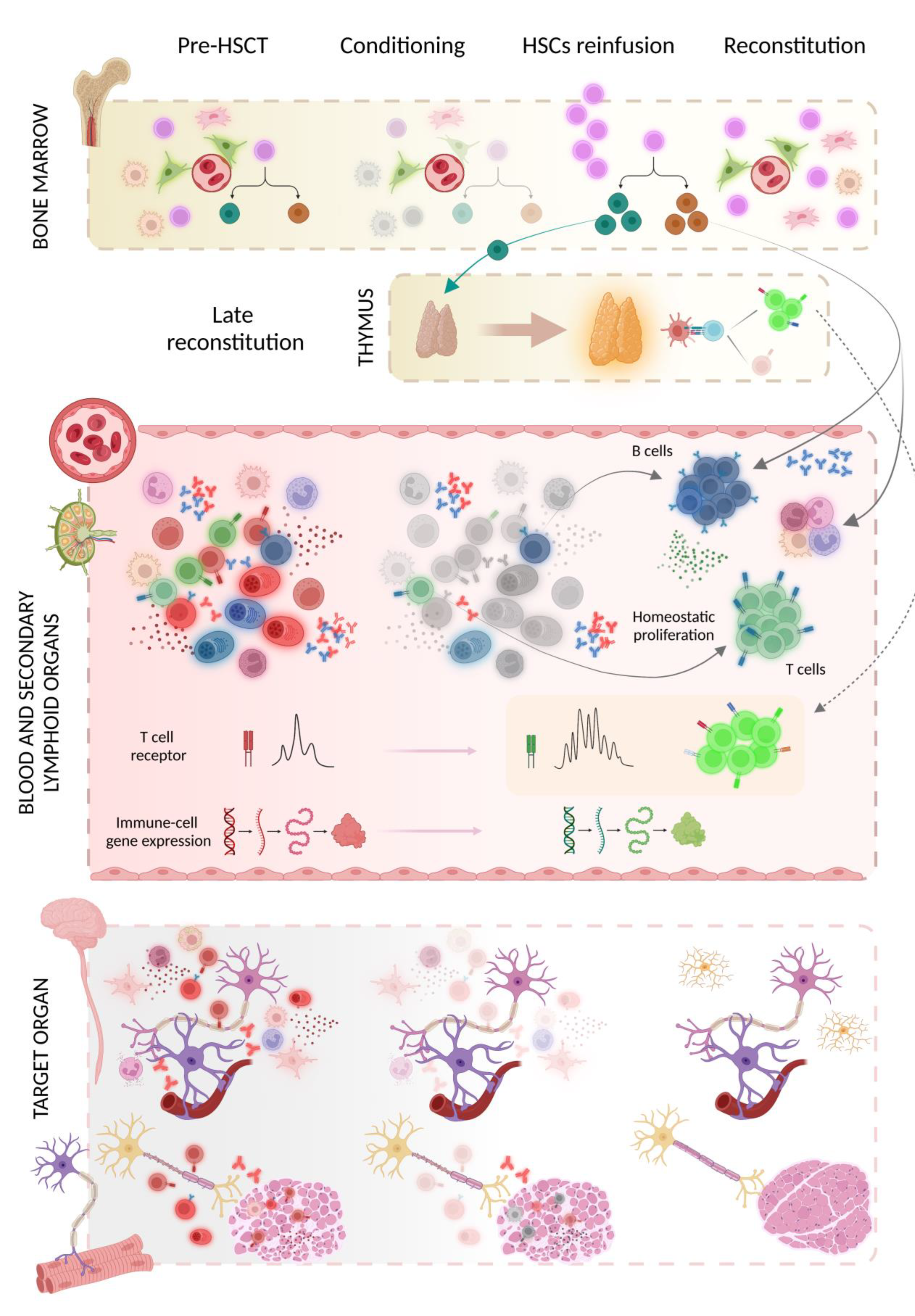 Bioengineering 10 00176 g003 Bioengineering 10 00176 g003
