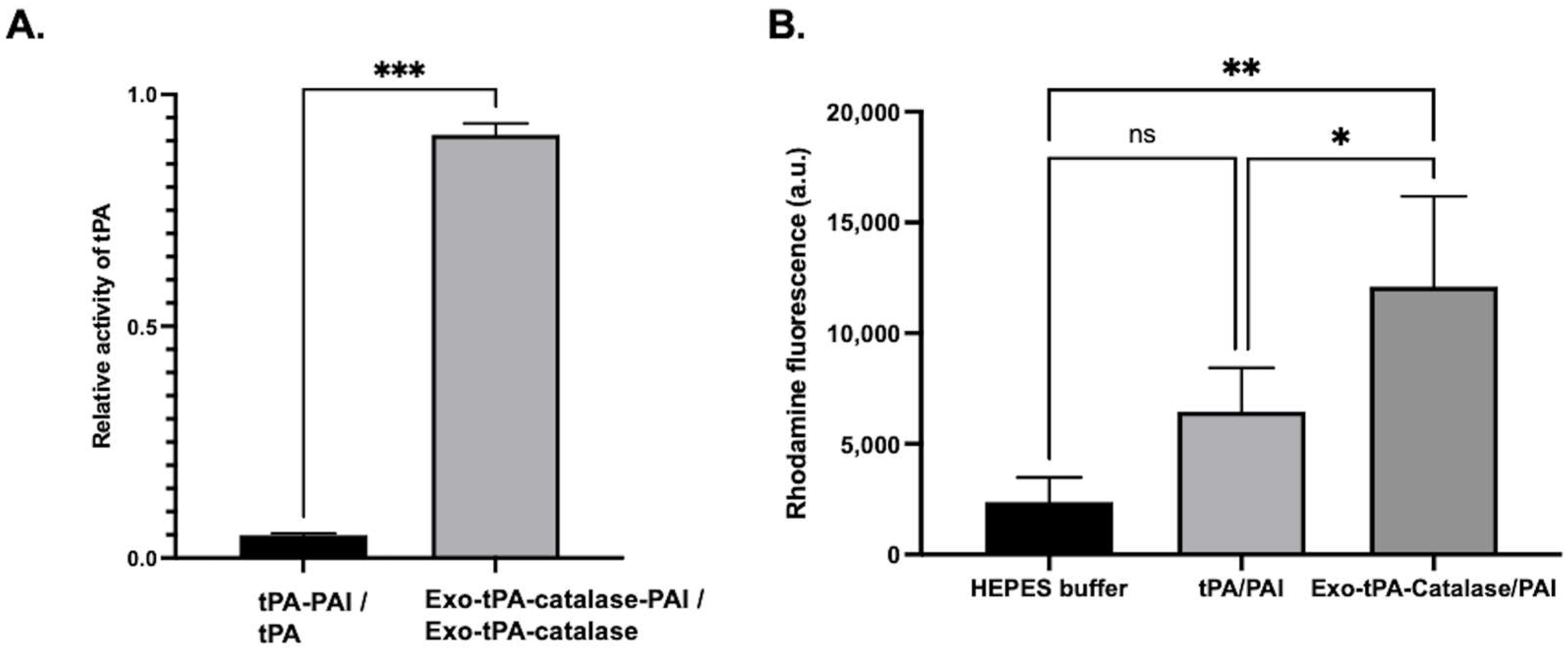 Bioengineering 10 00177 g005