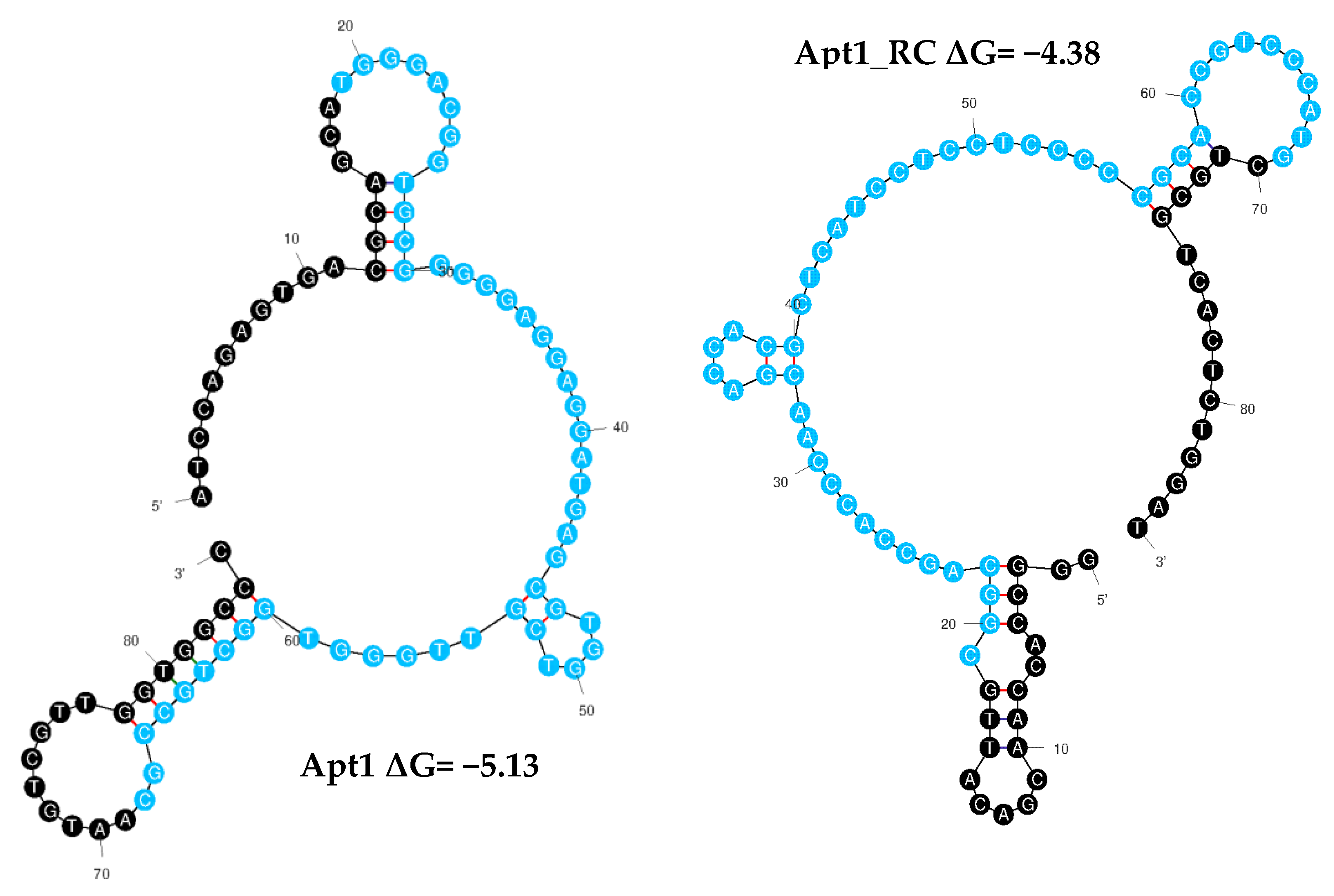 Bioengineering 10 00178 g003