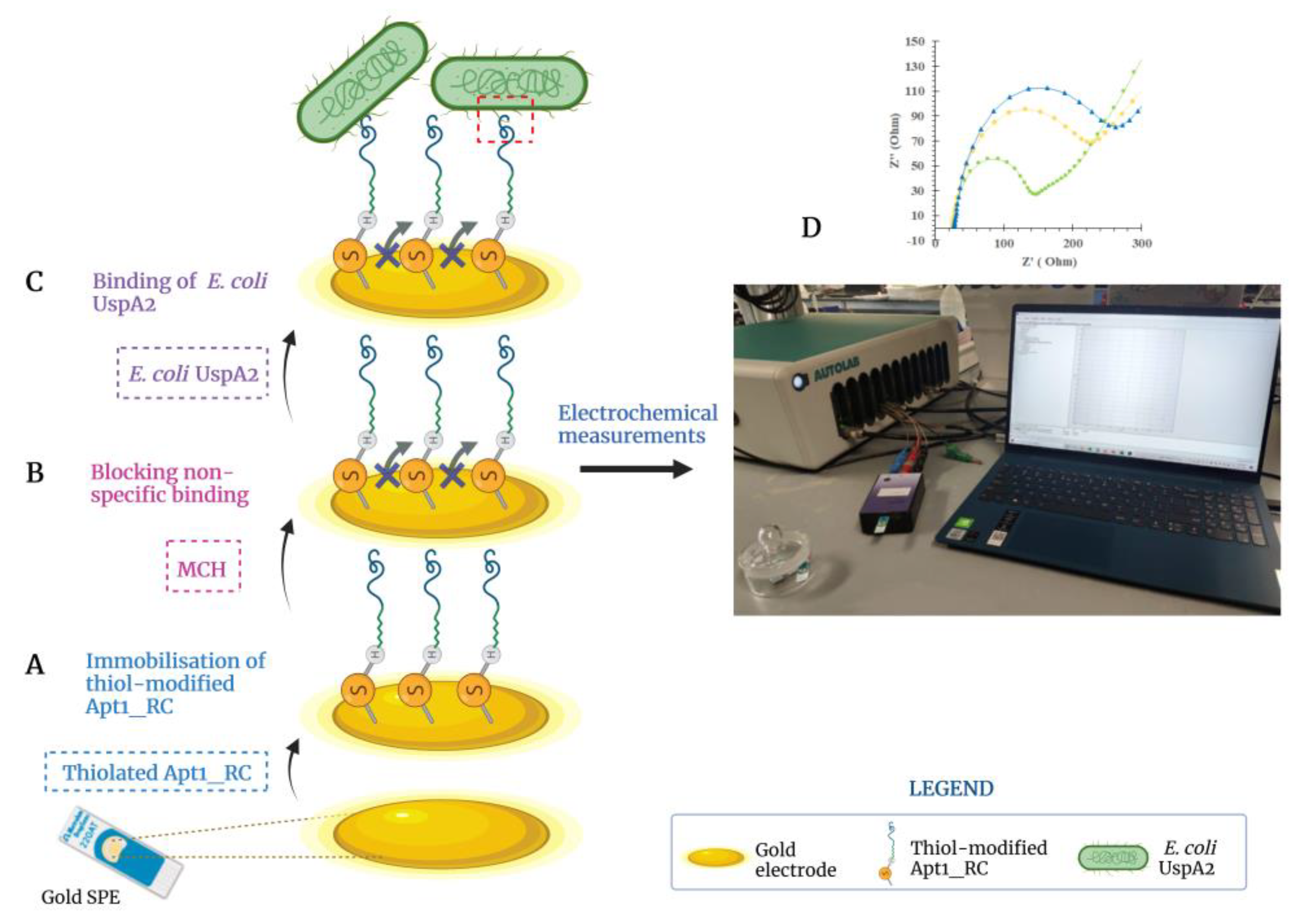 Bioengineering 10 00178 g005