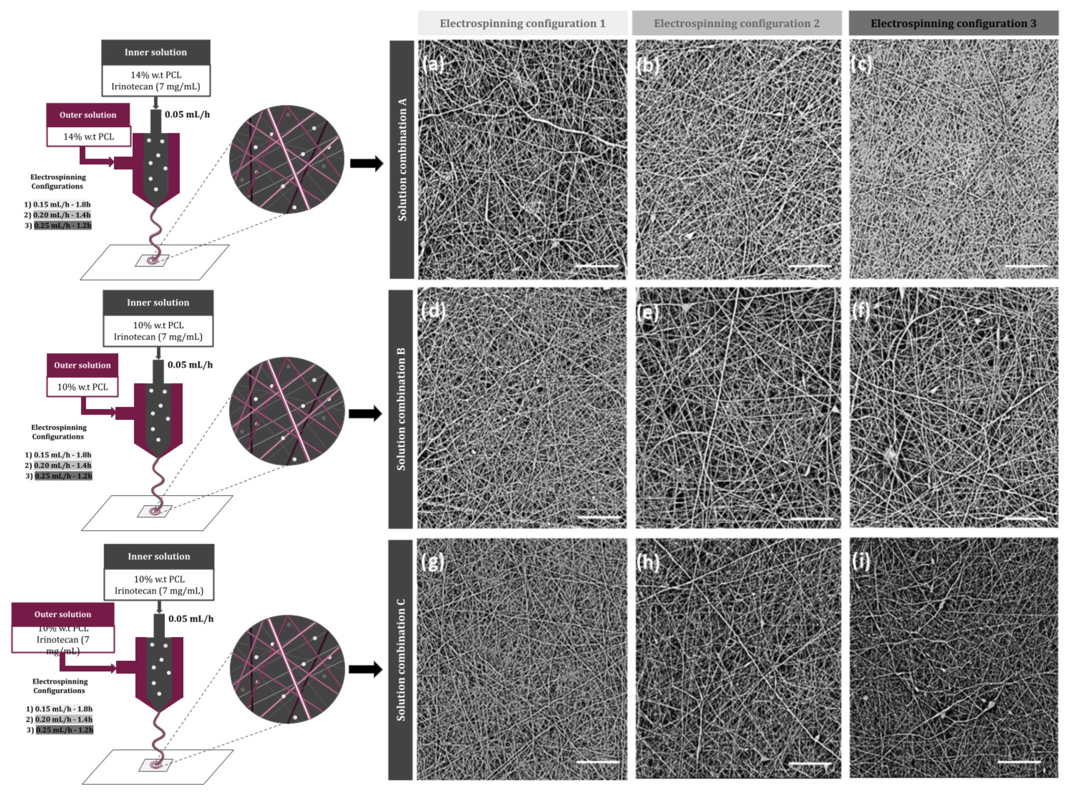 Bioengineering 10 00183 g001 Bioengineering 10 00183 g001