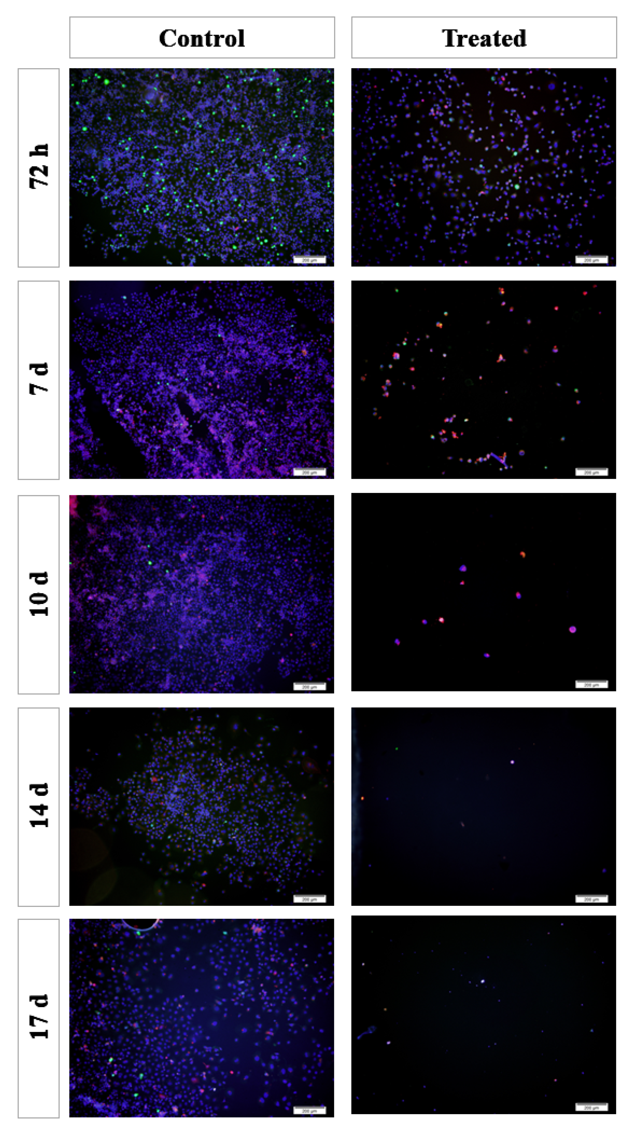 Bioengineering 10 00183 g004 Bioengineering 10 00183 g004