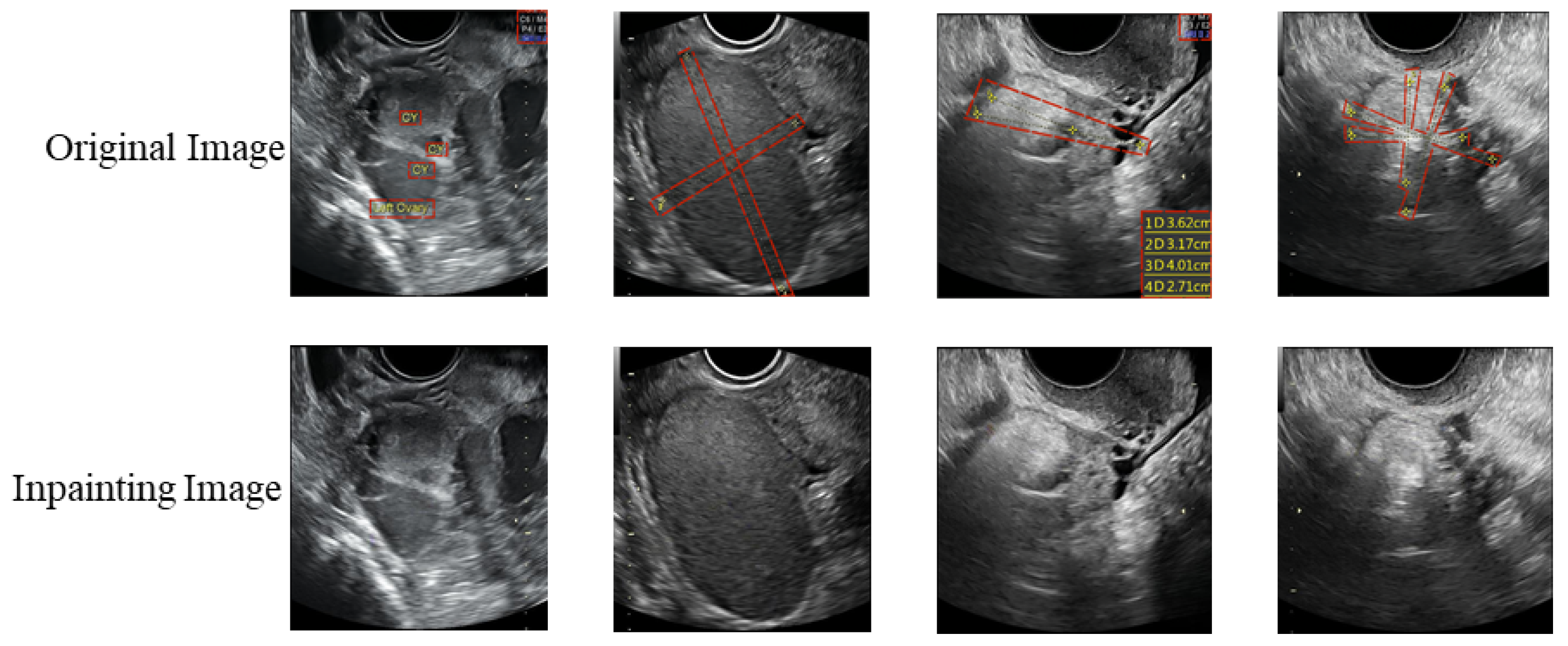 Bioengineering 10 00184 g007