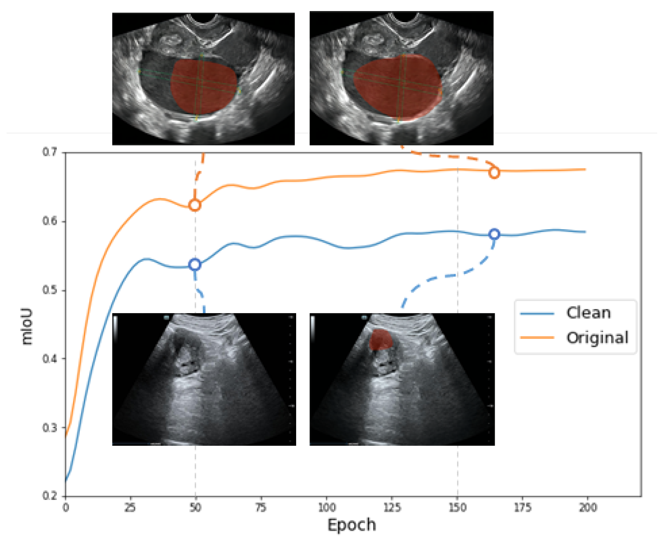 Bioengineering 10 00184 g0a1