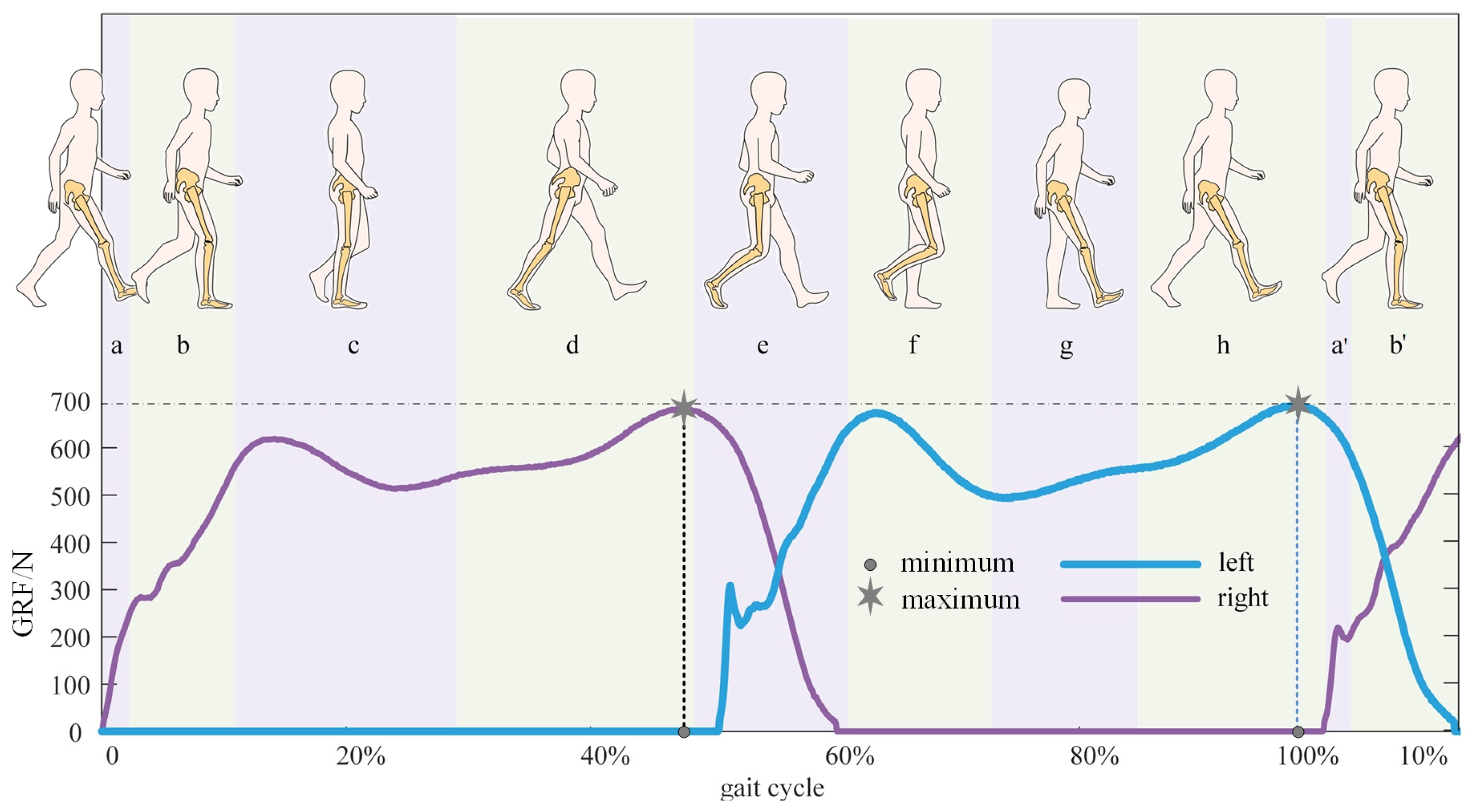 Bioengineering 10 00187 g006 Bioengineering 10 00187 g006