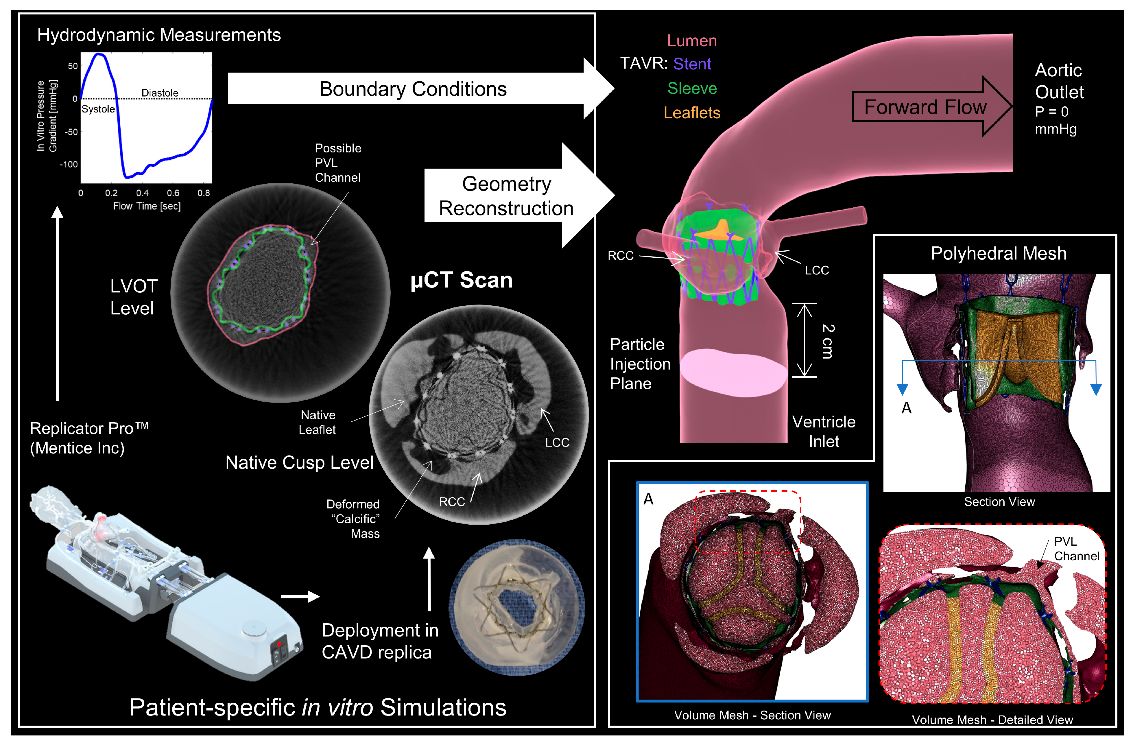 Bioengineering 10 00188 g001