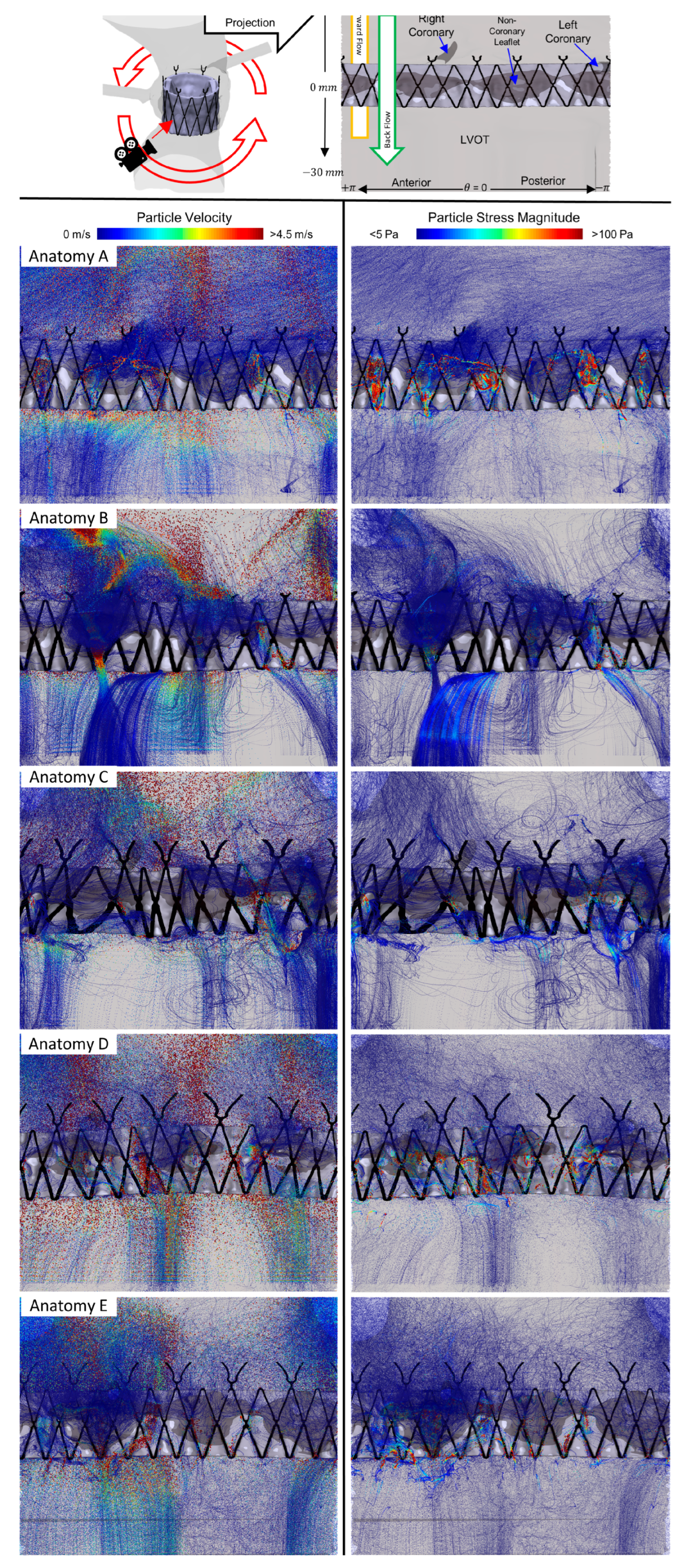 Bioengineering 10 00188 g004
