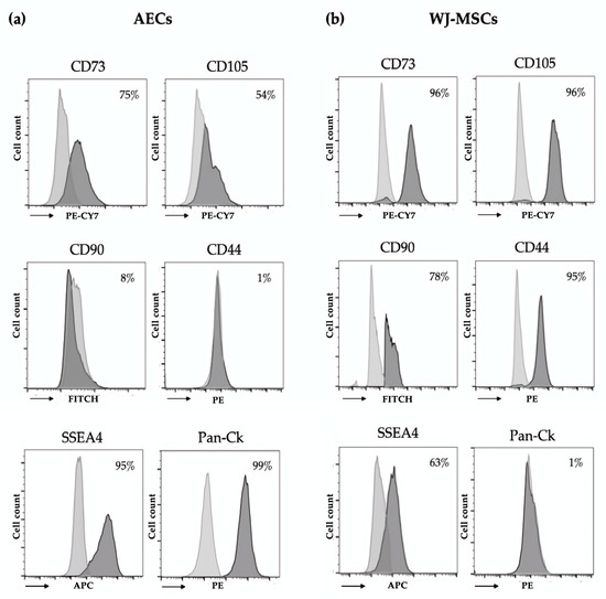 Characterization of Perinatal Stem Cell Spheroids for the Development ...