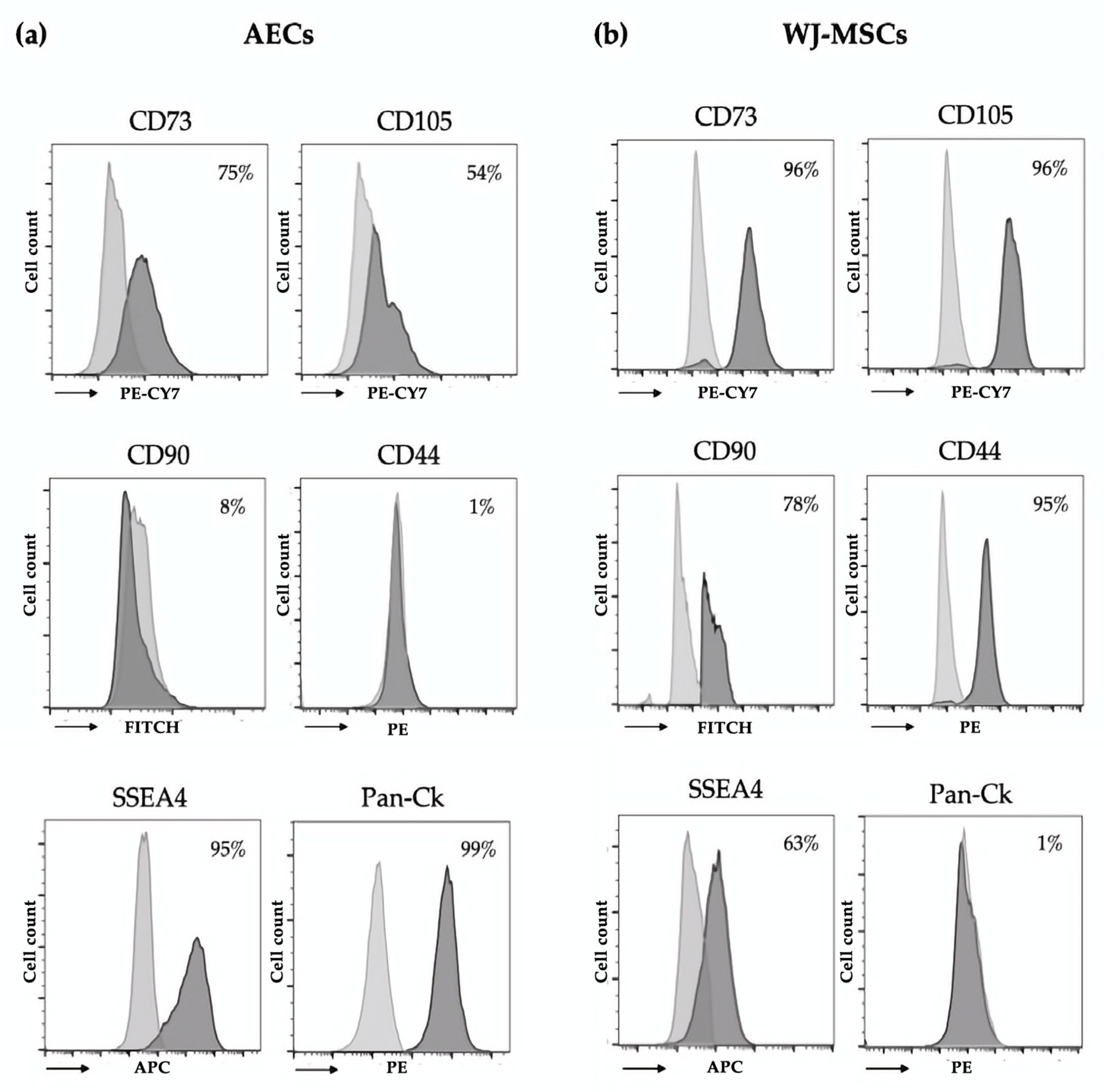Bioengineering 10 00189 g001 550