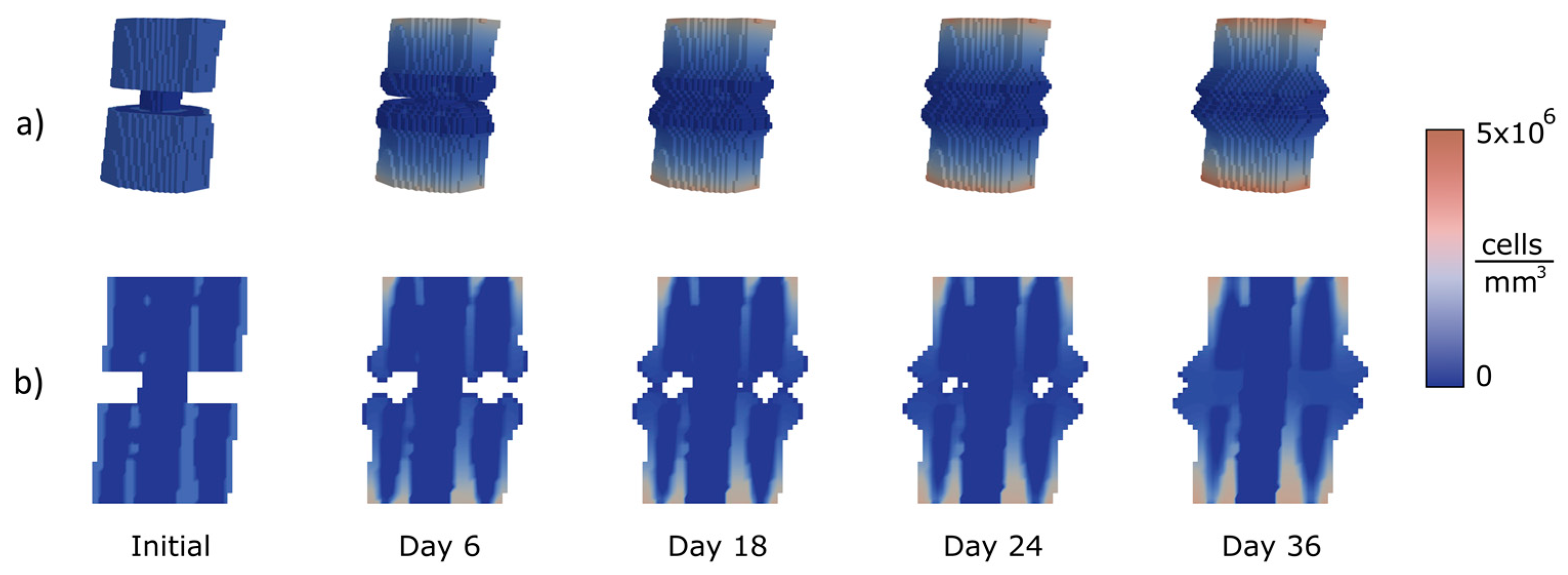 Bioengineering 10 00190 g007