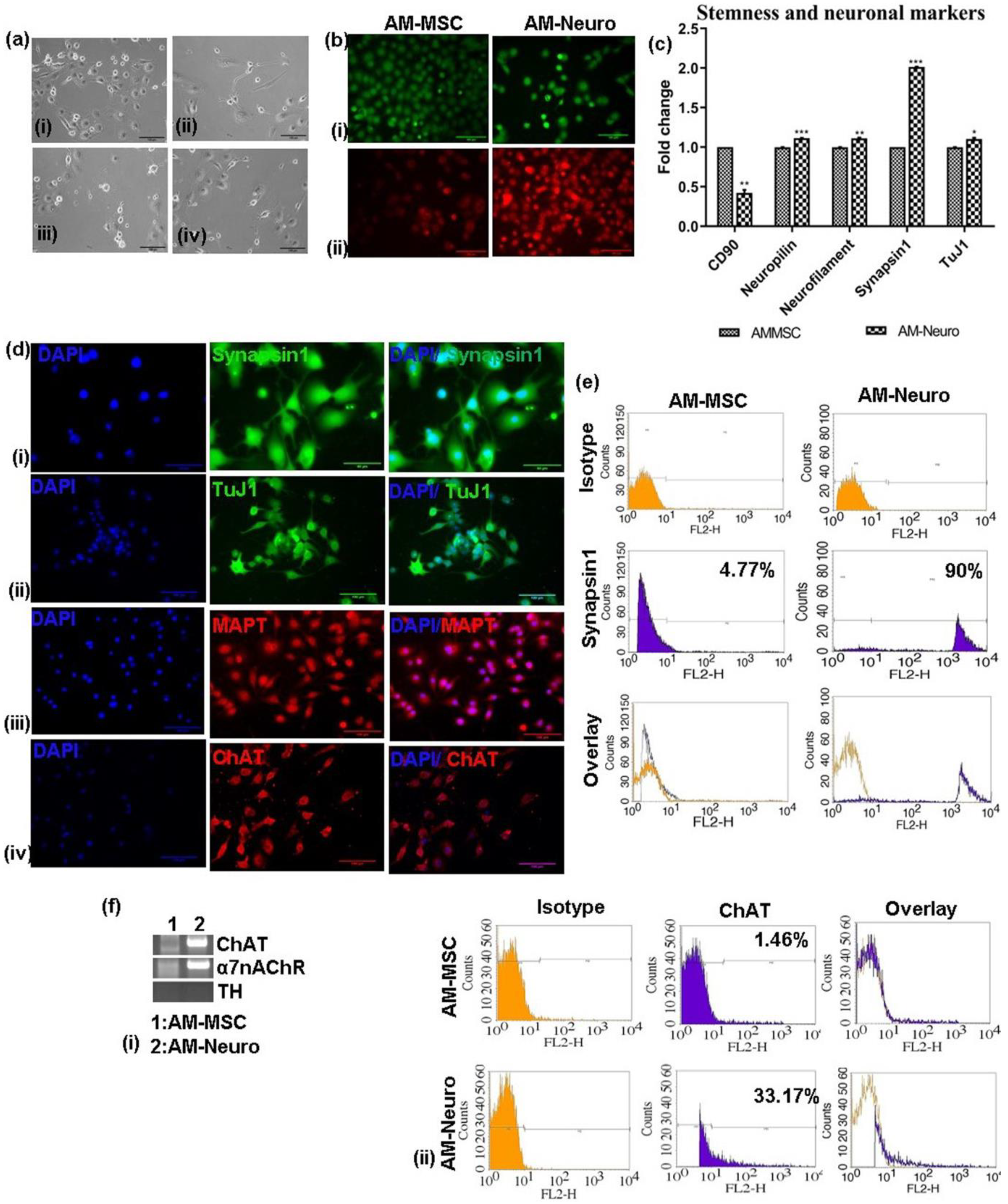 Bioengineering 10 00192 g002