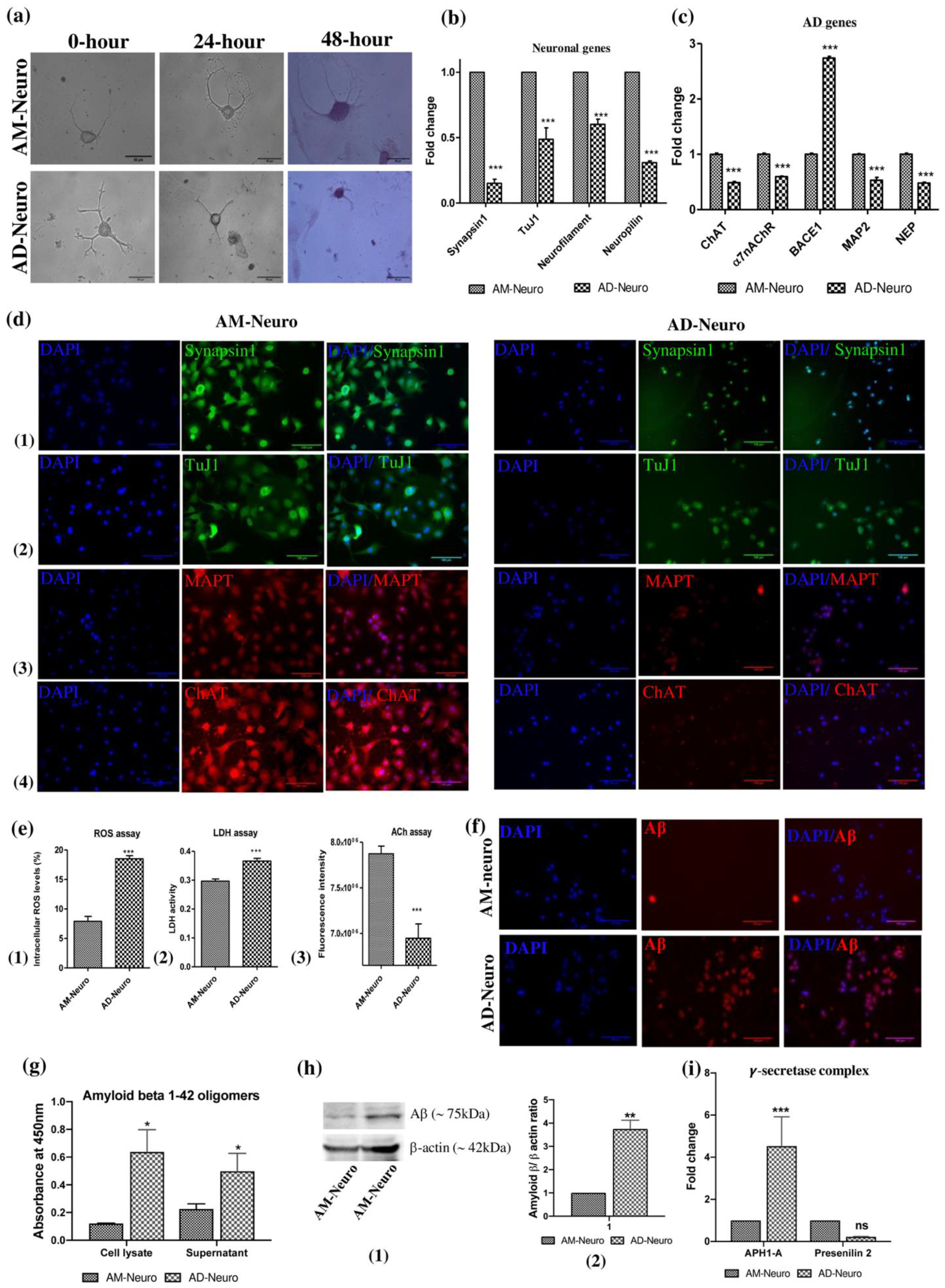 Bioengineering 10 00192 g003