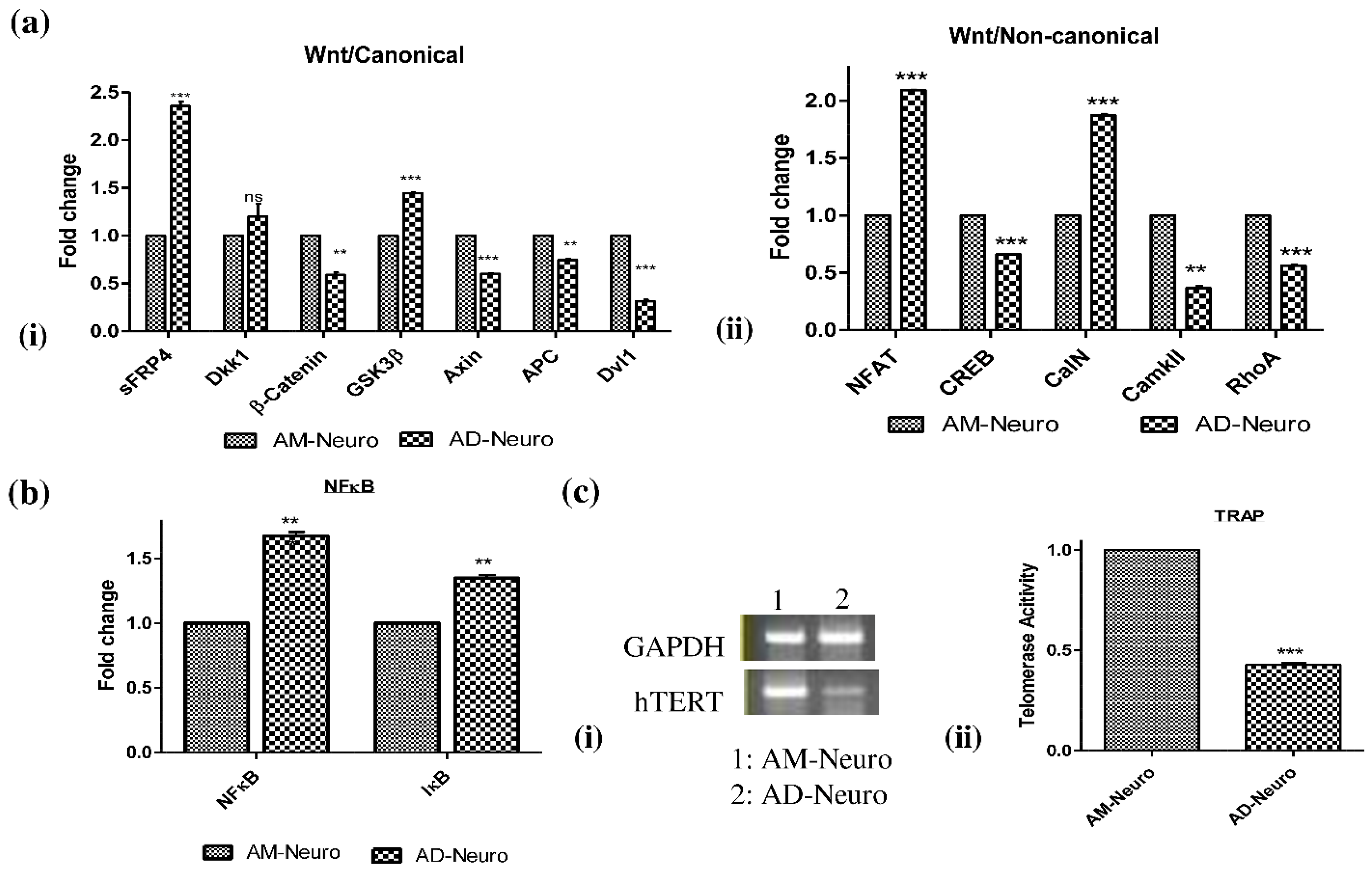 Bioengineering 10 00192 g004
