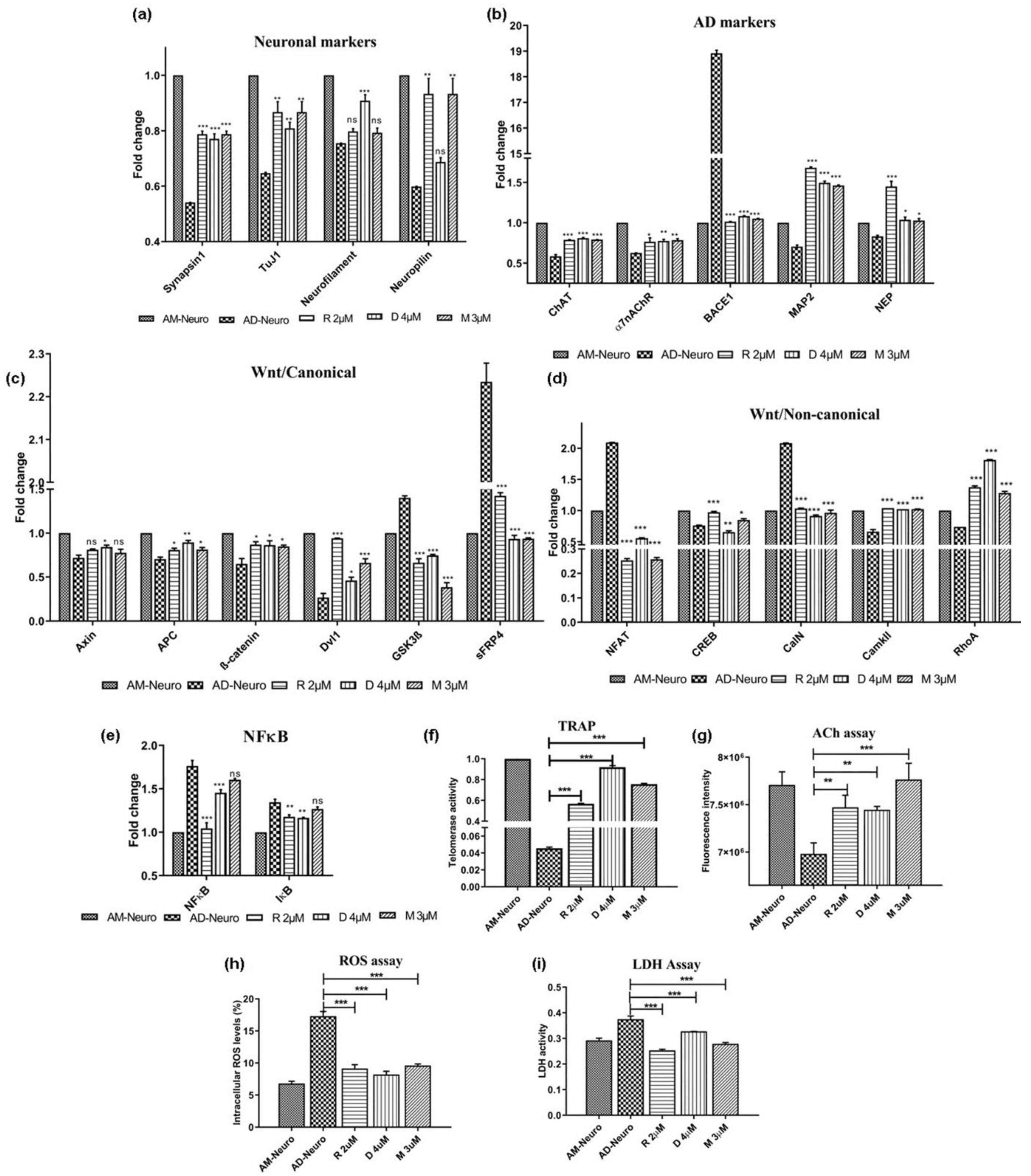 Bioengineering 10 00192 g005