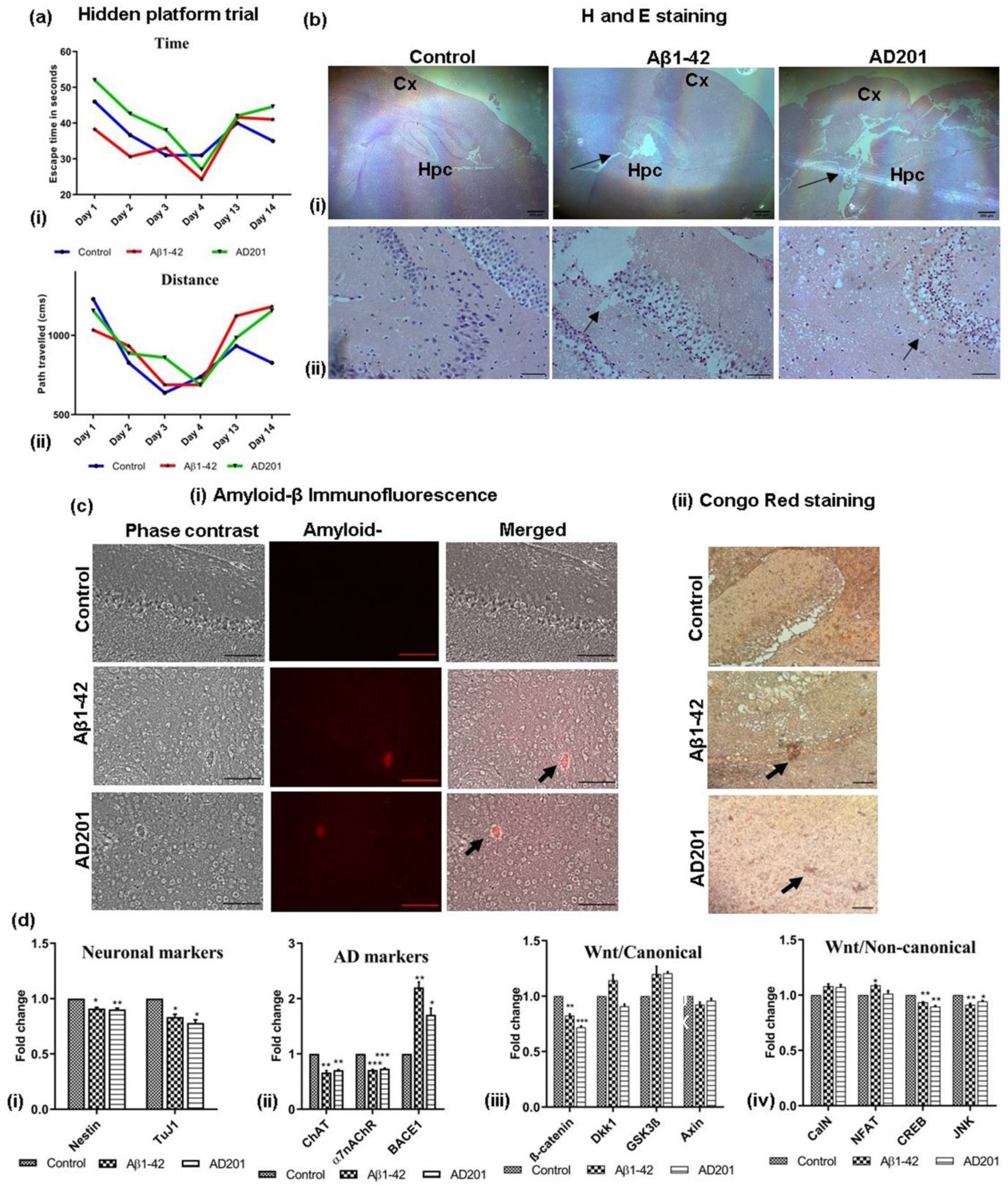 Bioengineering 10 00192 g006