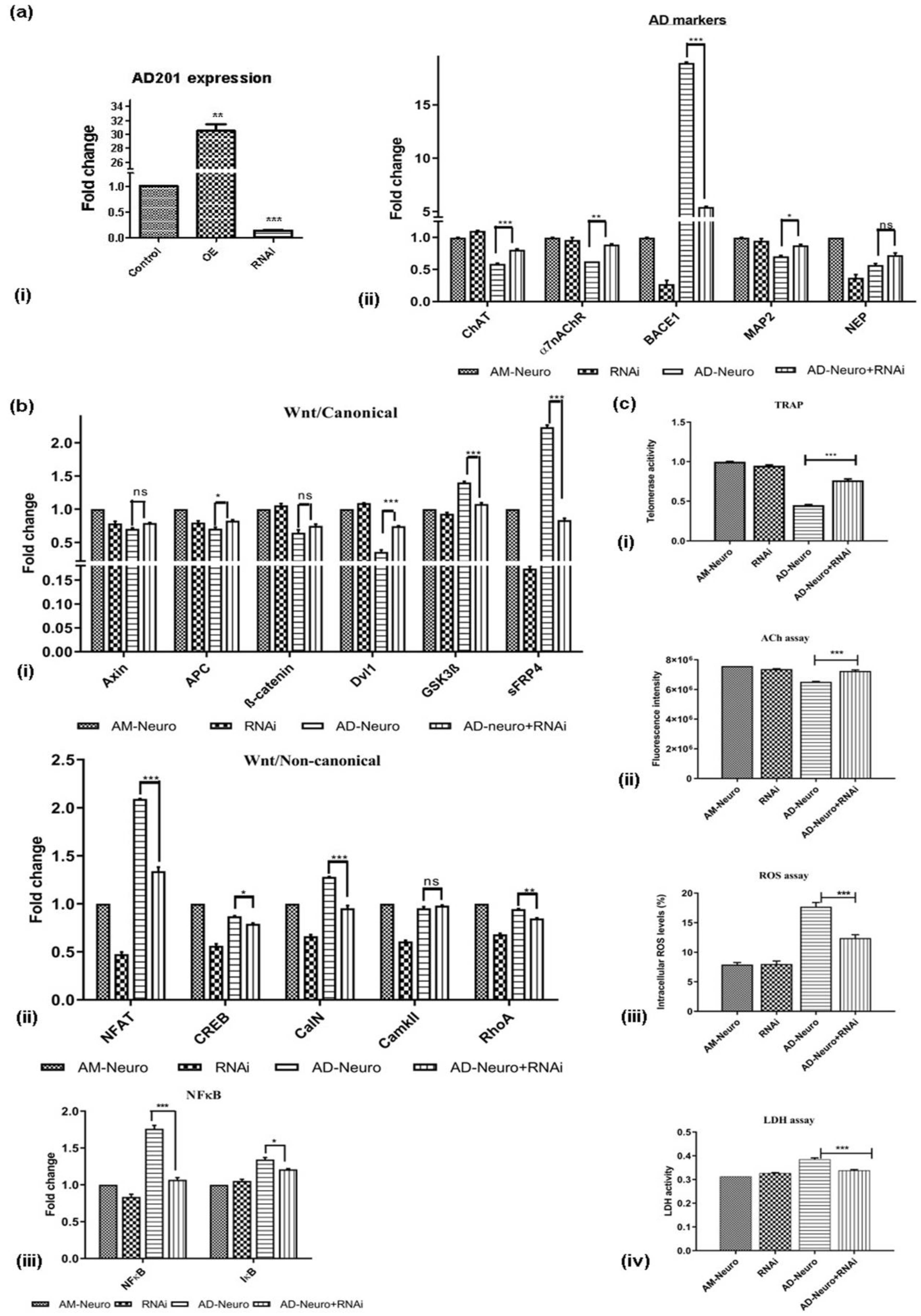 Bioengineering 10 00192 g007