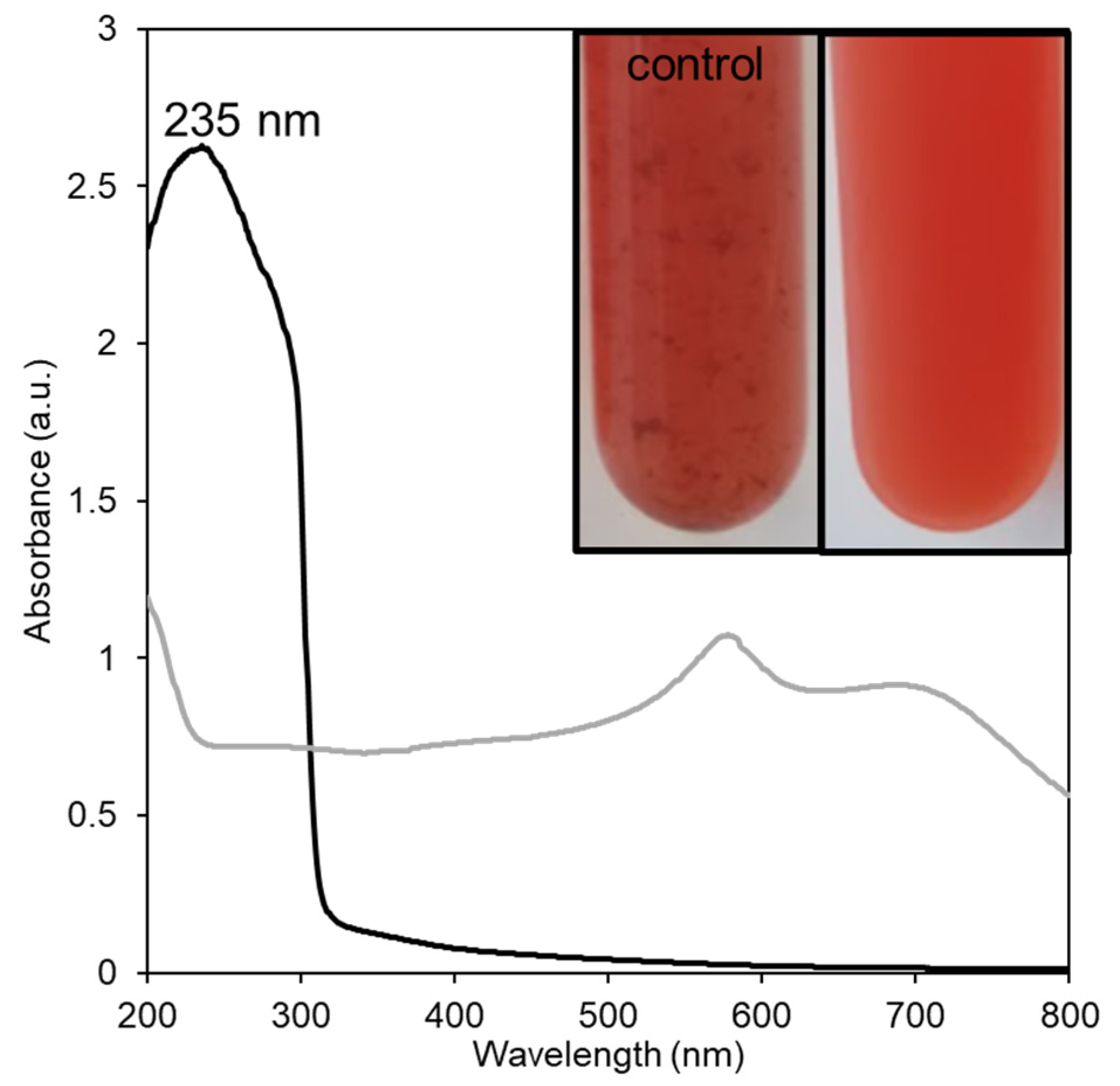 Bioengineering 10 00193 g001 550
