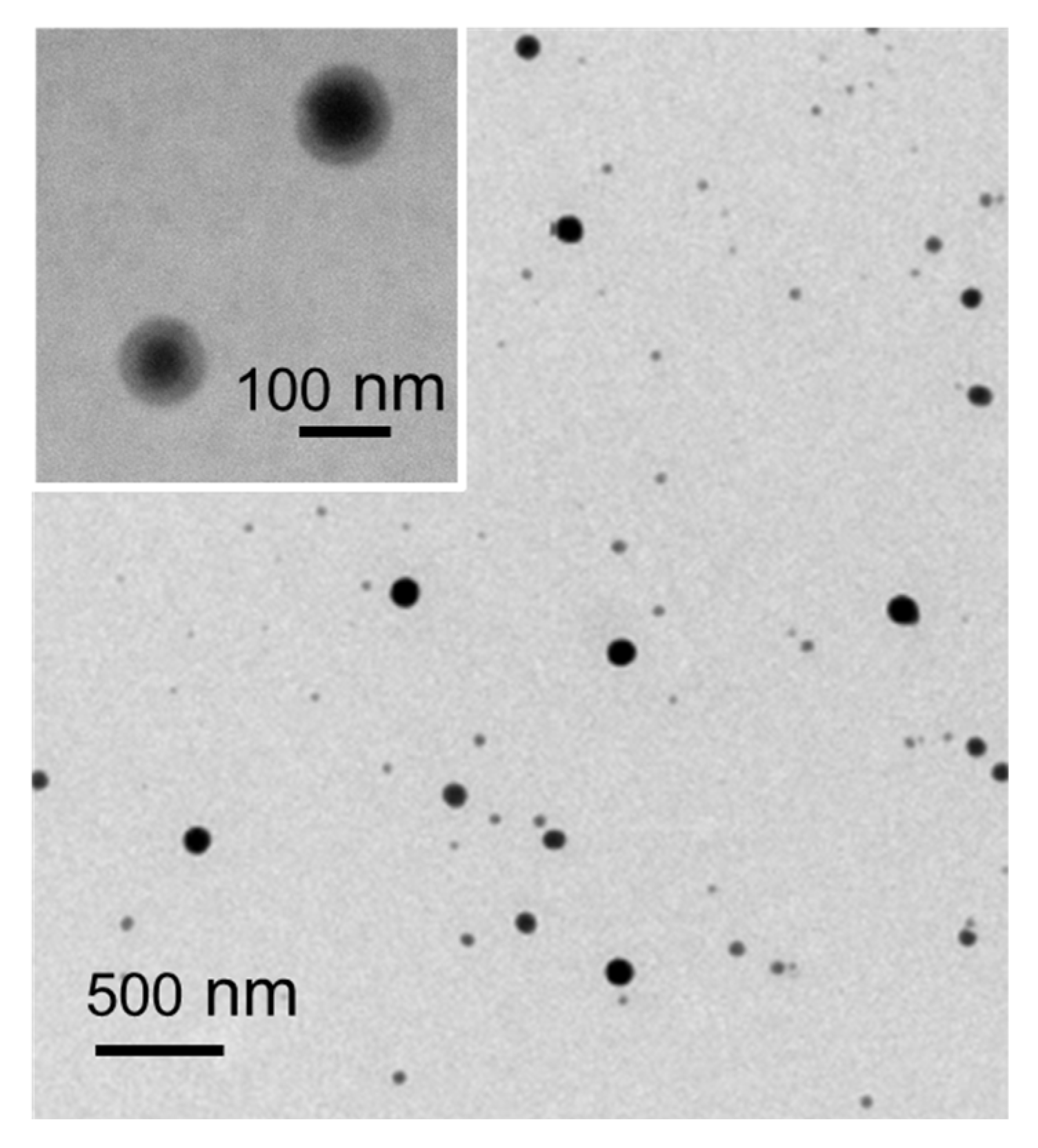 Bioengineering 10 00193 g003 550