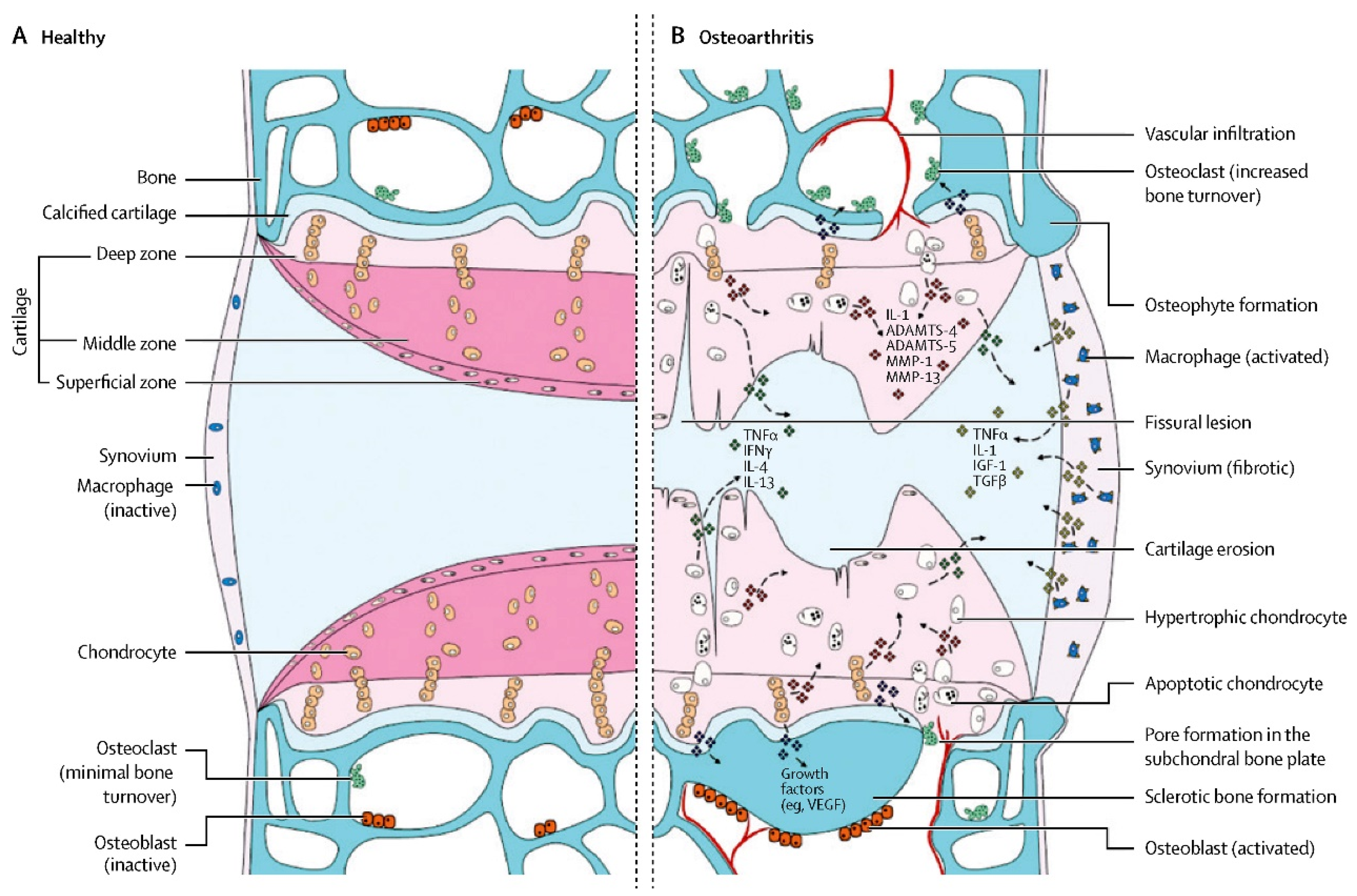 Bioengineering 10 00195 g001 Bioengineering 10 00195 g001