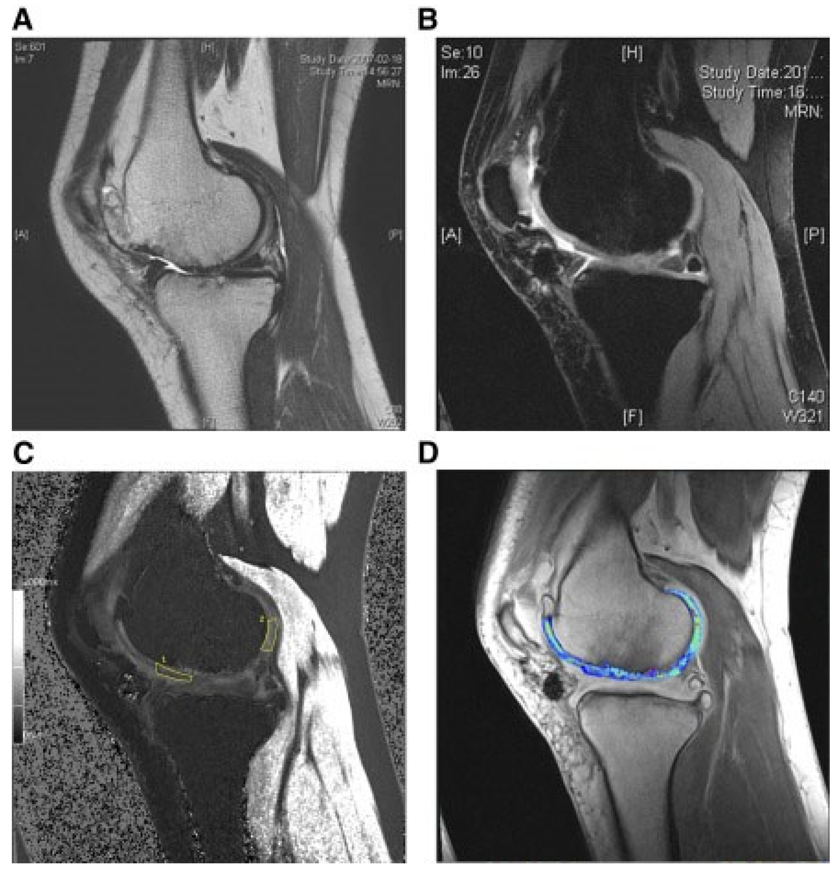 Bioengineering 10 00195 g003 Bioengineering 10 00195 g003