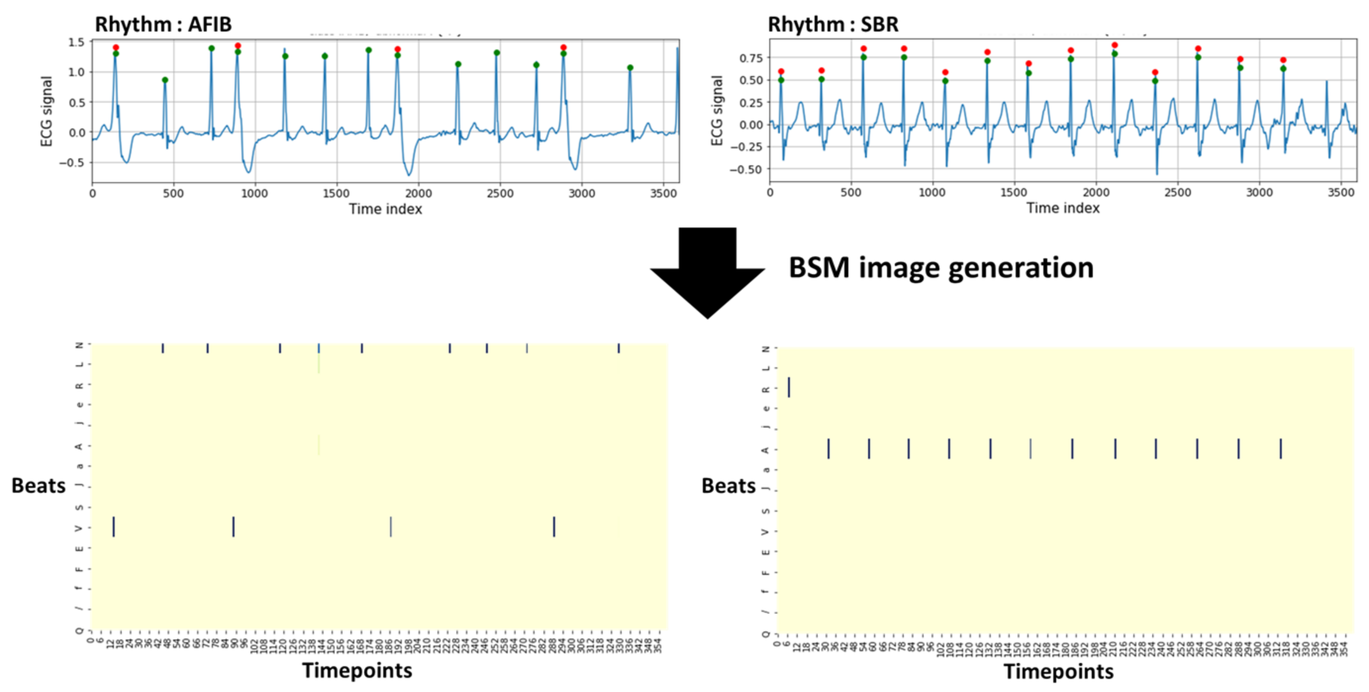 Bioengineering 10 00196 g002 550