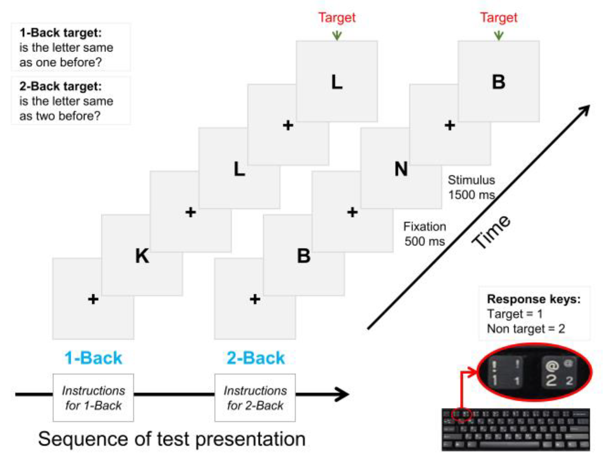 Bioengineering 10 00200 g002