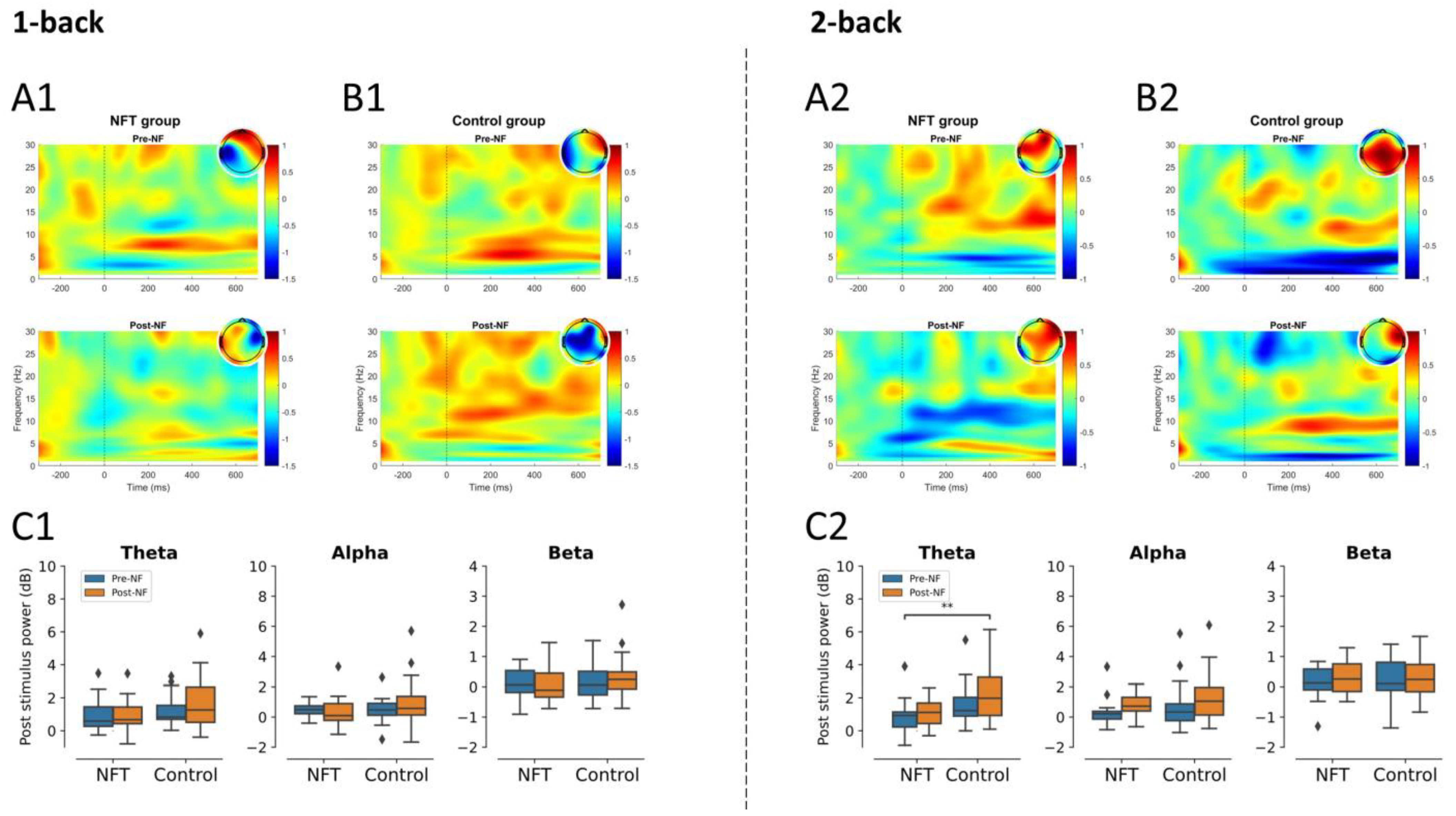 Bioengineering 10 00200 g005