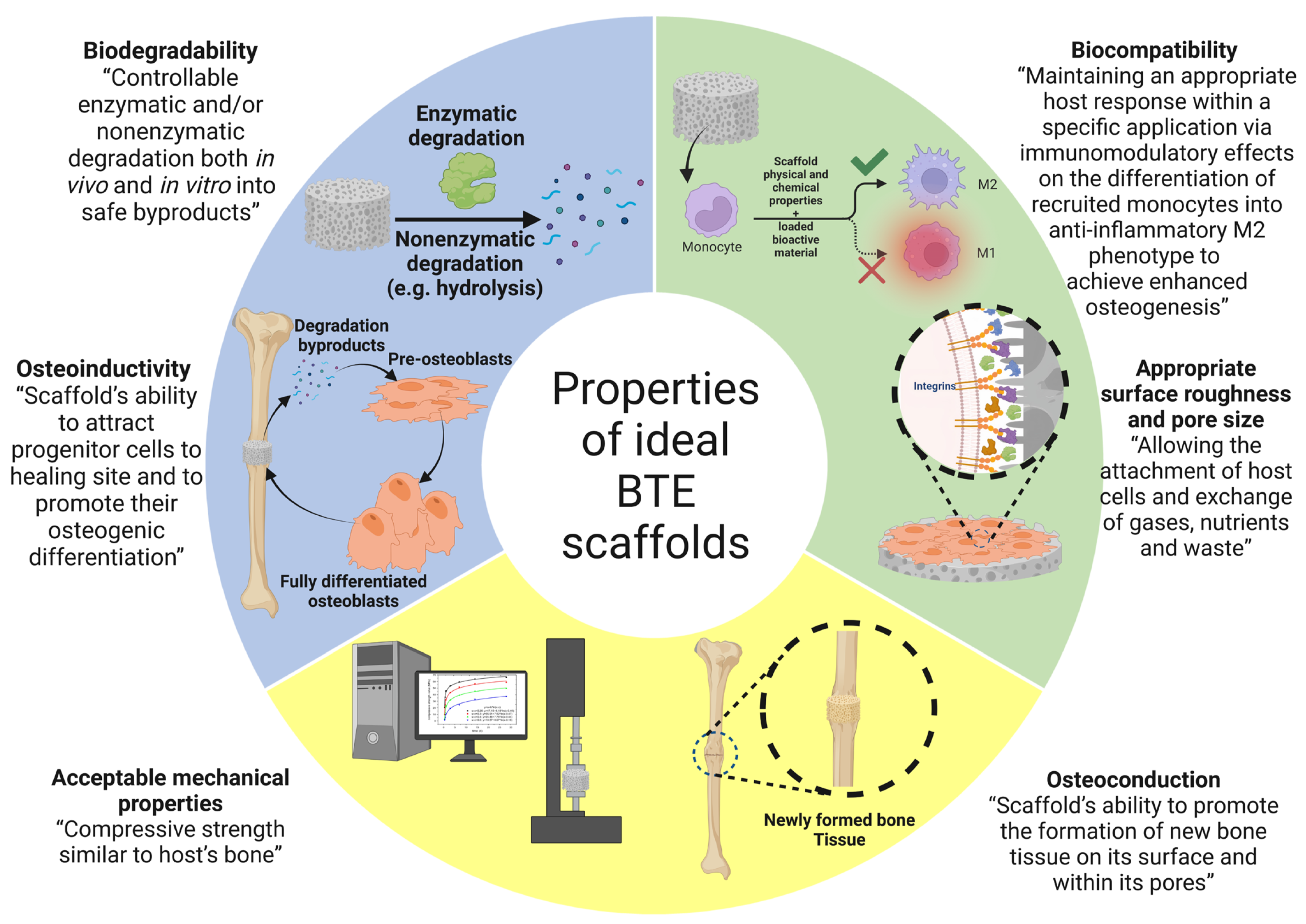 Bioengineering 10 00204 g004