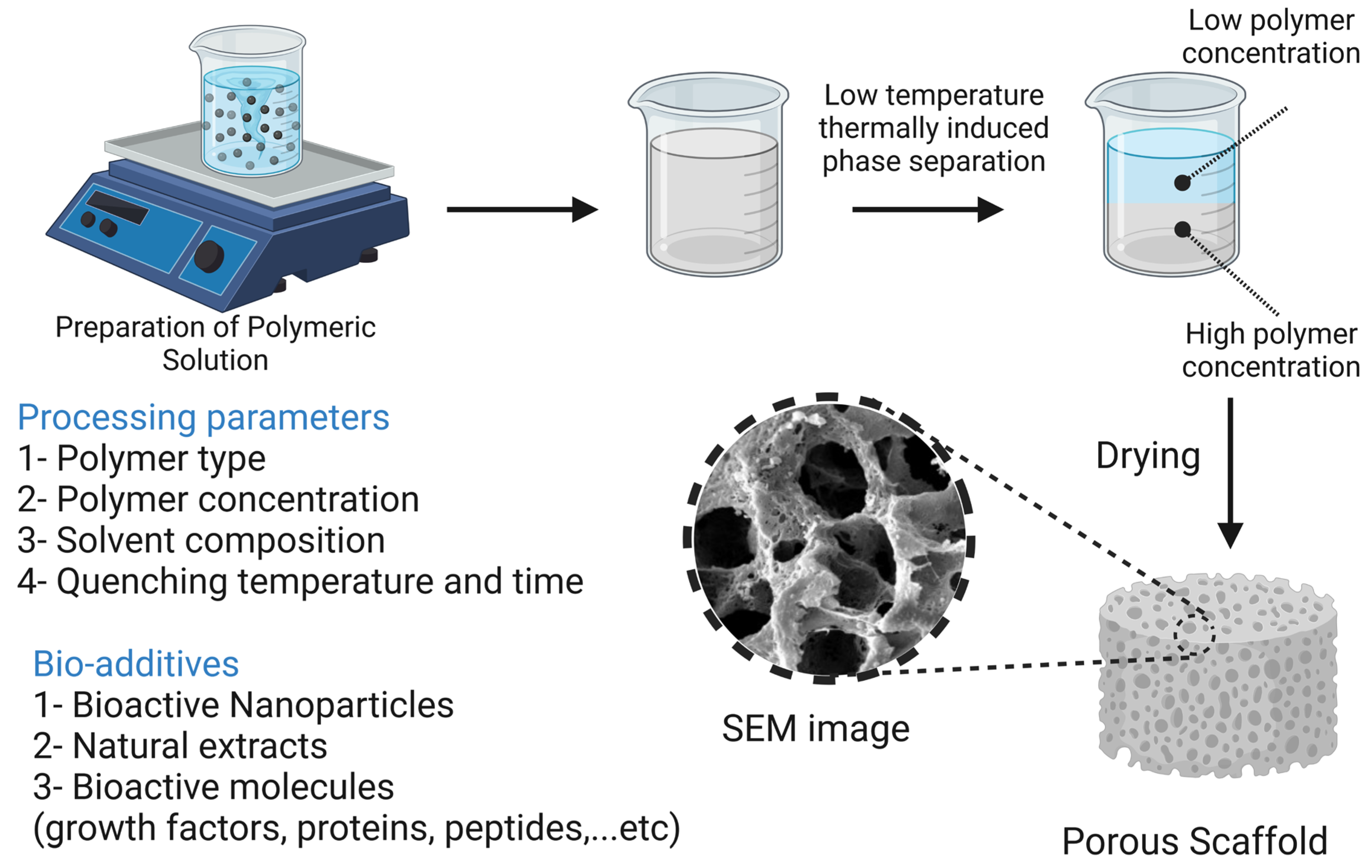 Bioengineering 10 00204 g011