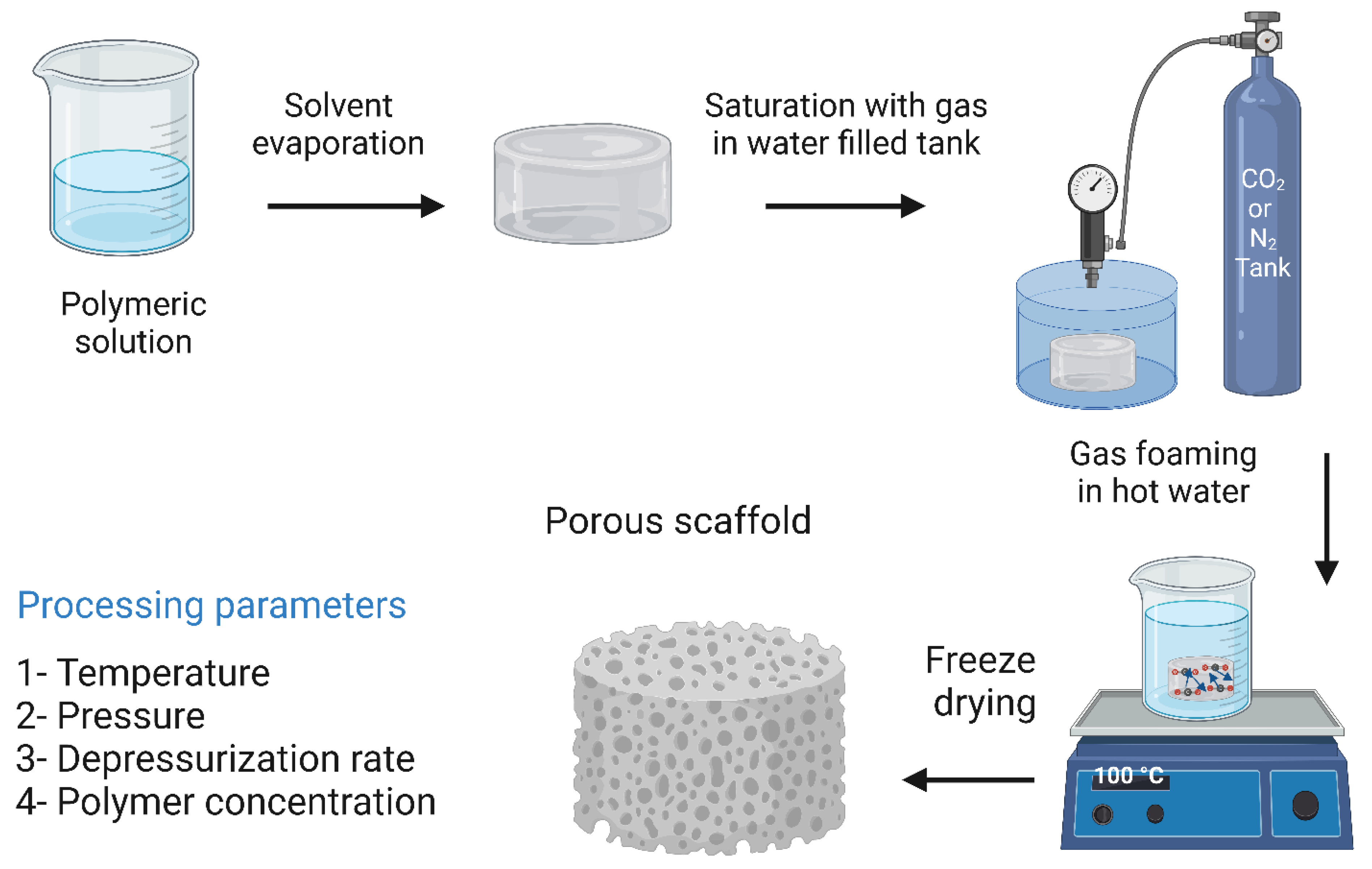 Bioengineering 10 00204 g012
