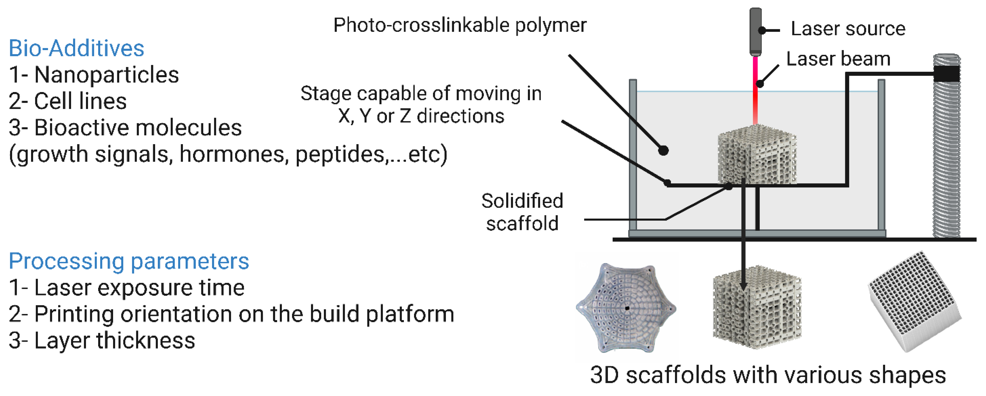 Bioengineering 10 00204 g015