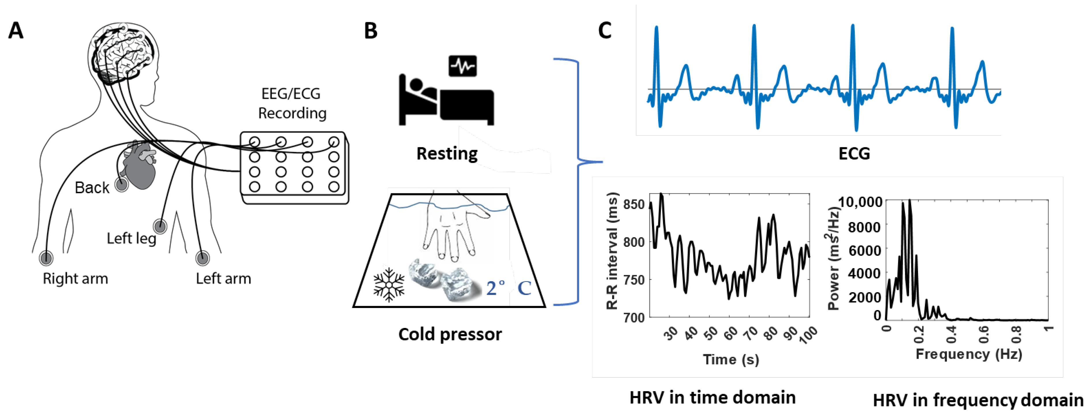 Bioengineering 10 00205 g001 Bioengineering 10 00205 g001