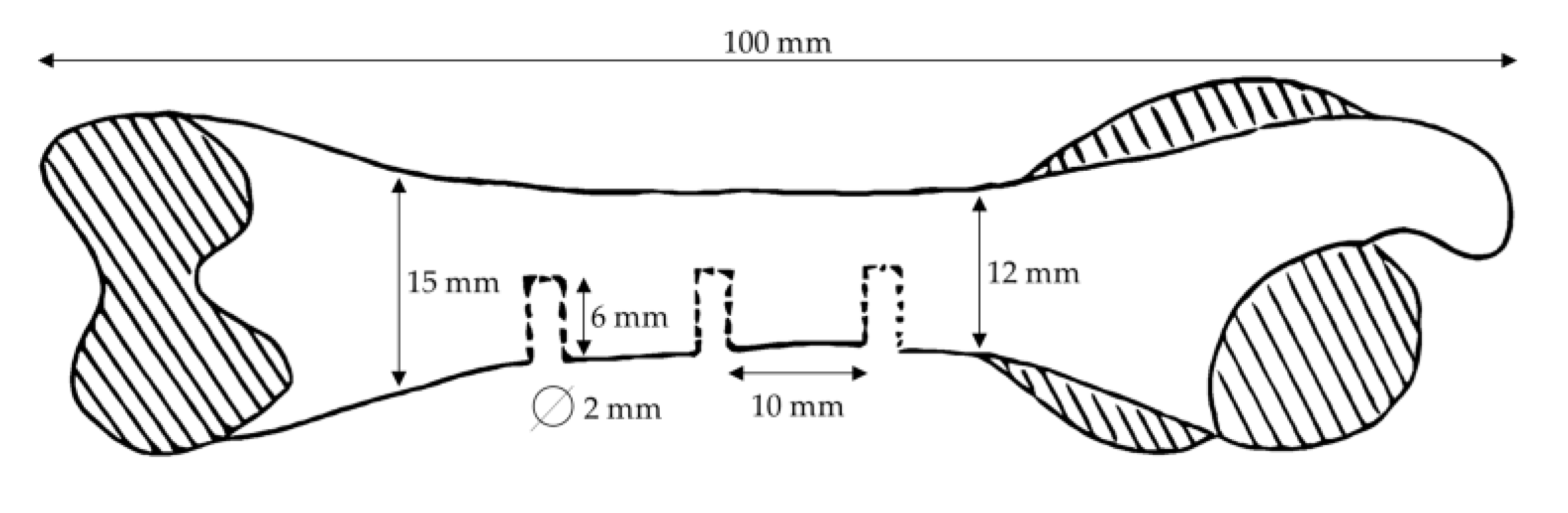 Bioengineering 10 00206 g001 Bioengineering 10 00206 g001