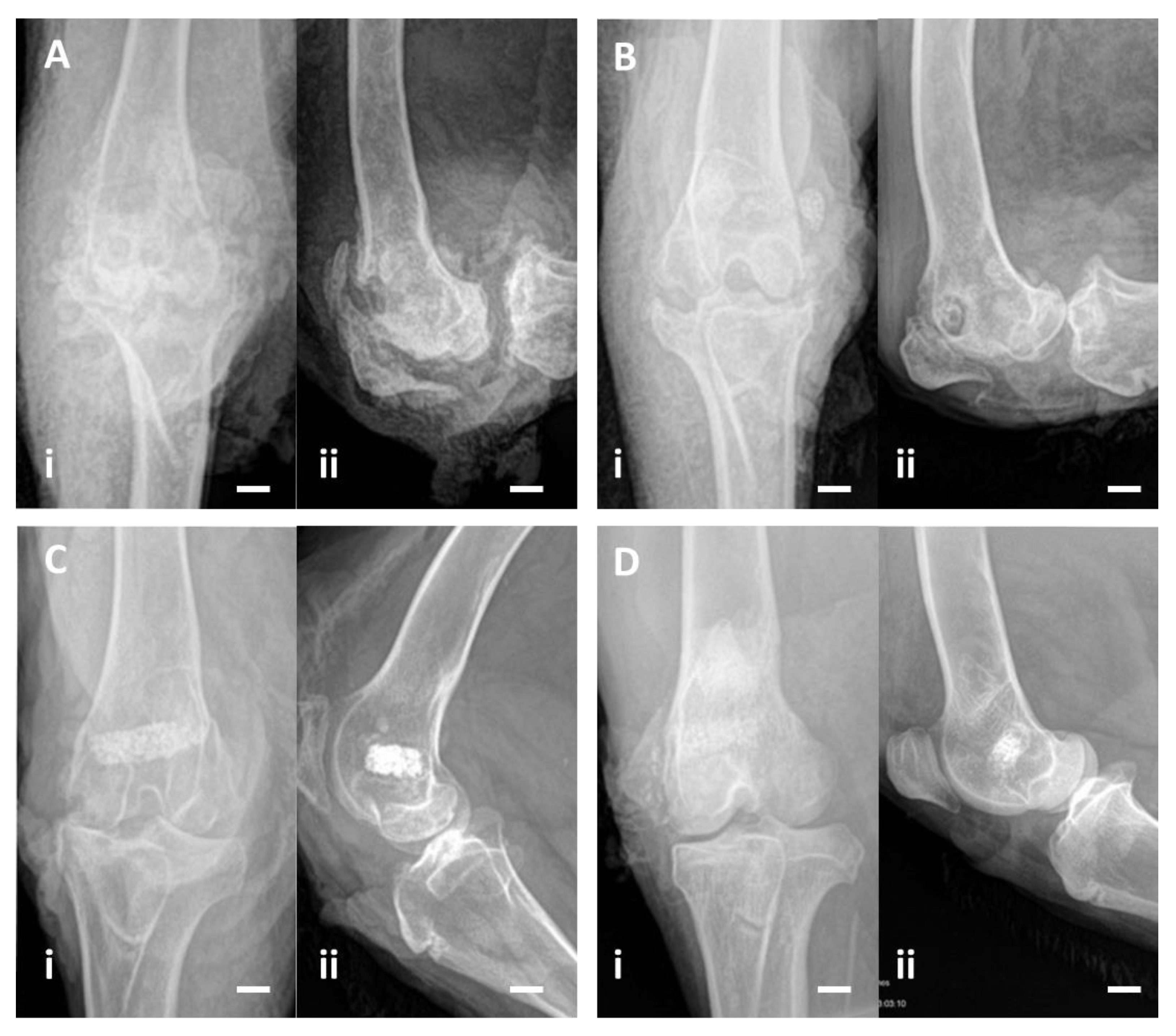 Bioengineering 10 00206 g004 Bioengineering 10 00206 g004