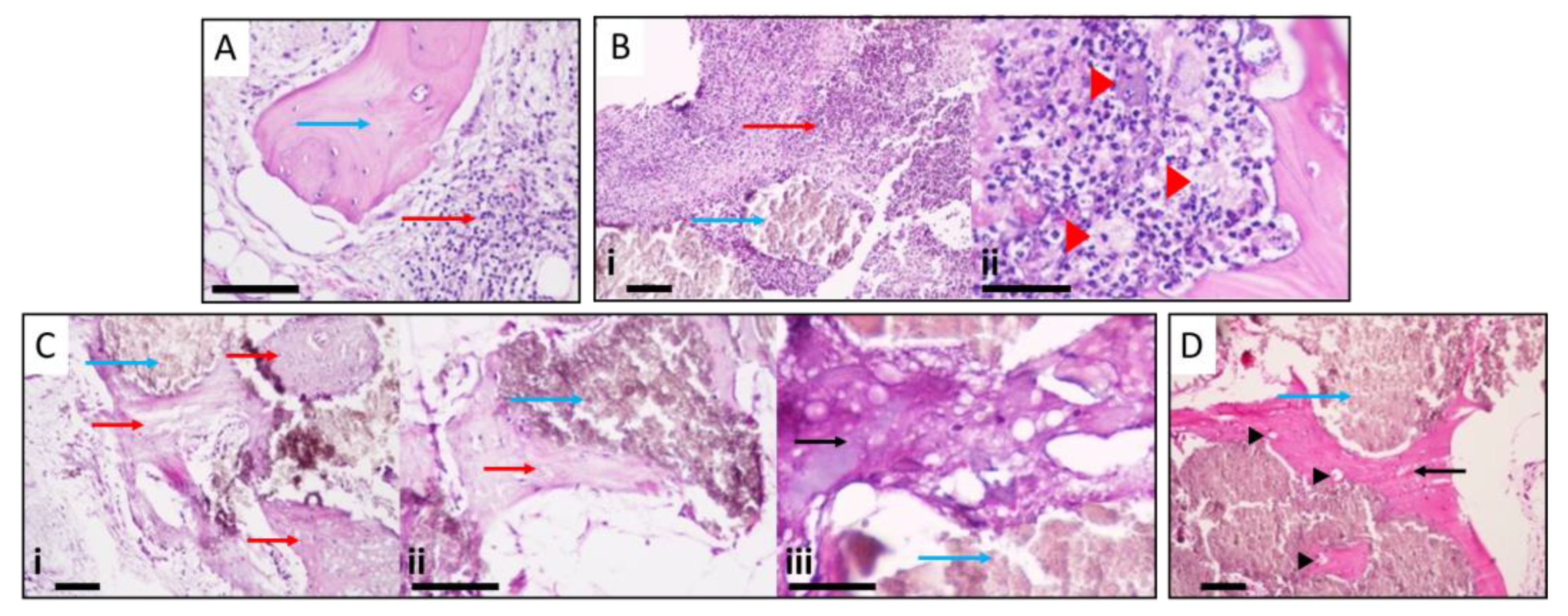 Bioengineering 10 00206 g006 Bioengineering 10 00206 g006