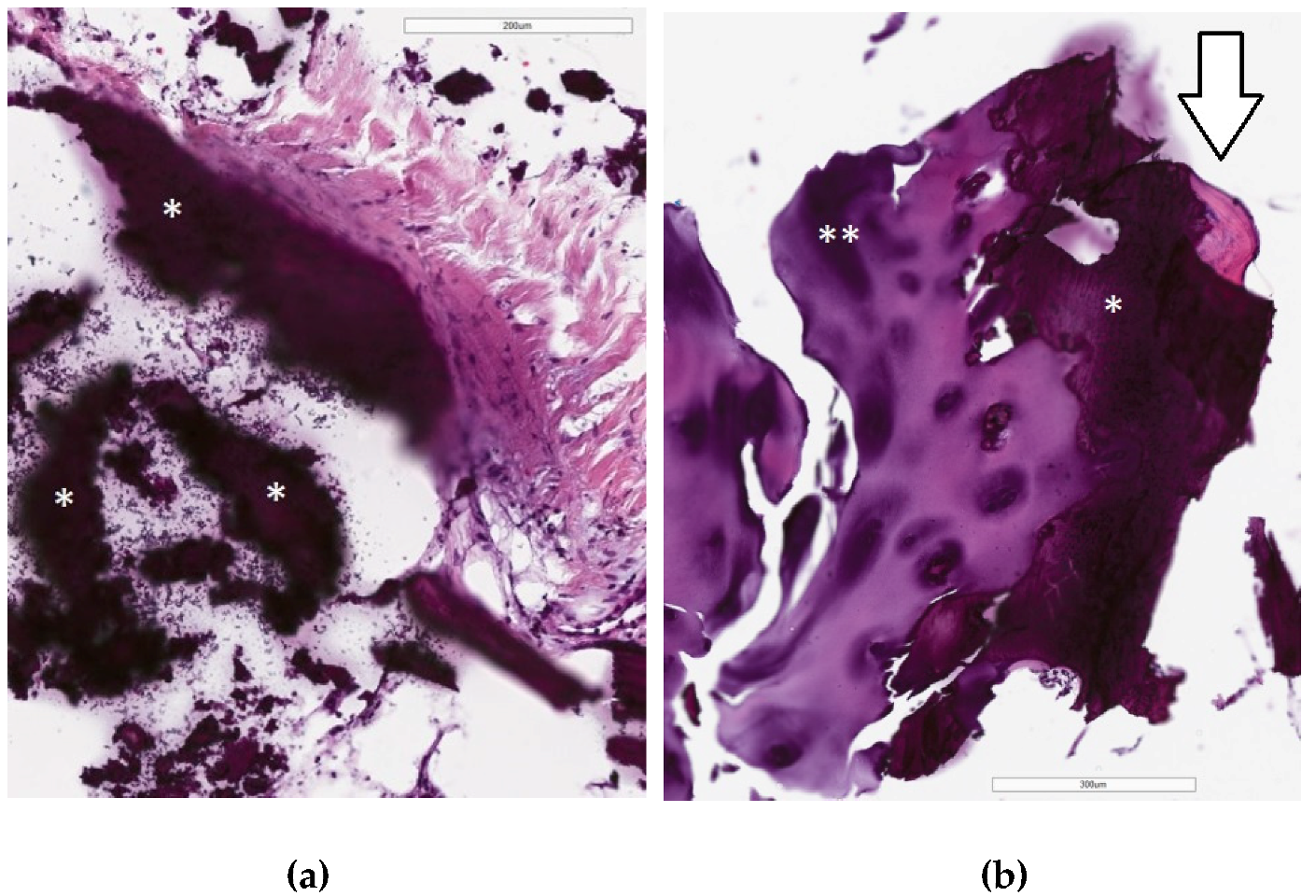 Bioengineering 10 00208 g006