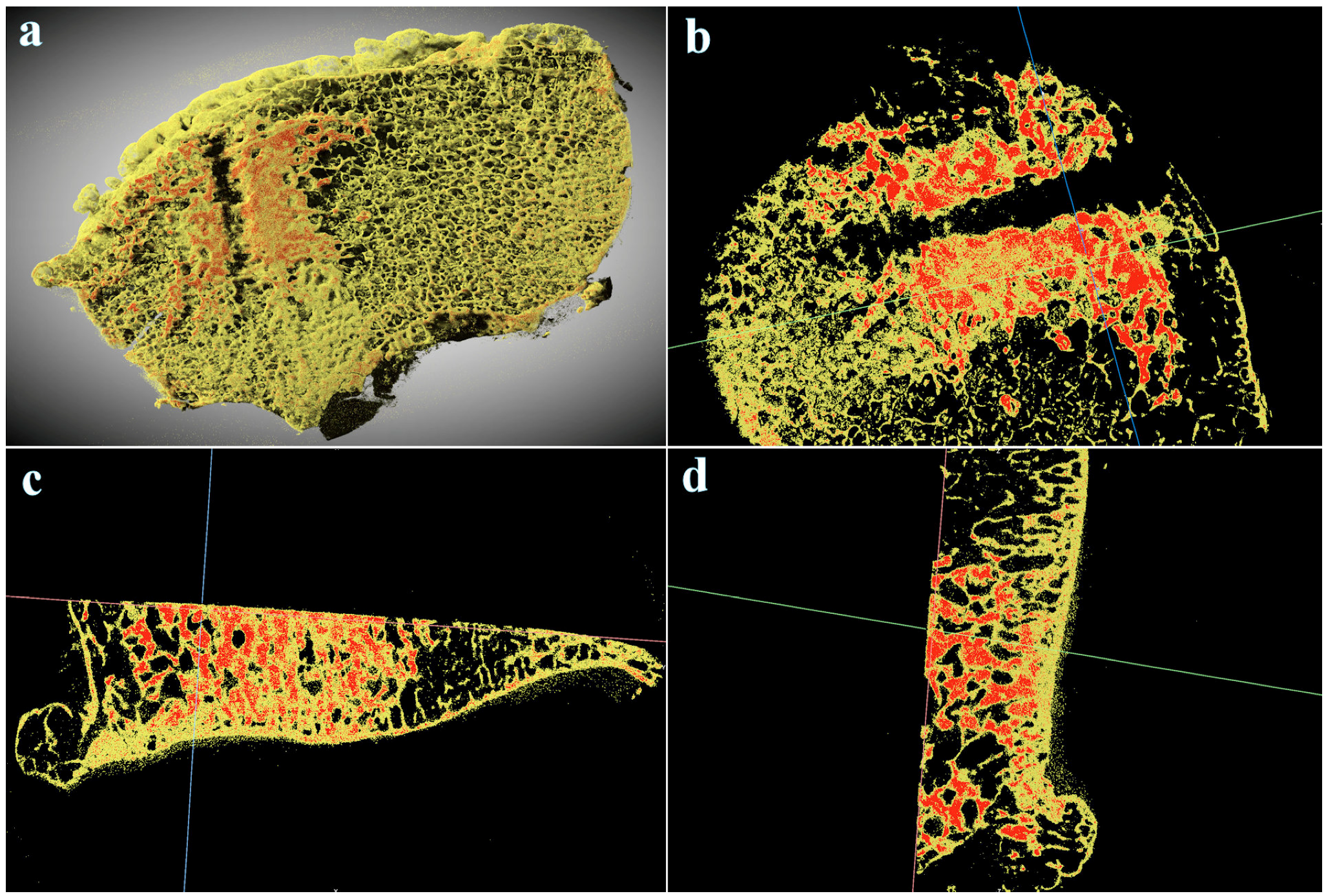 Bioengineering 10 00208 g009