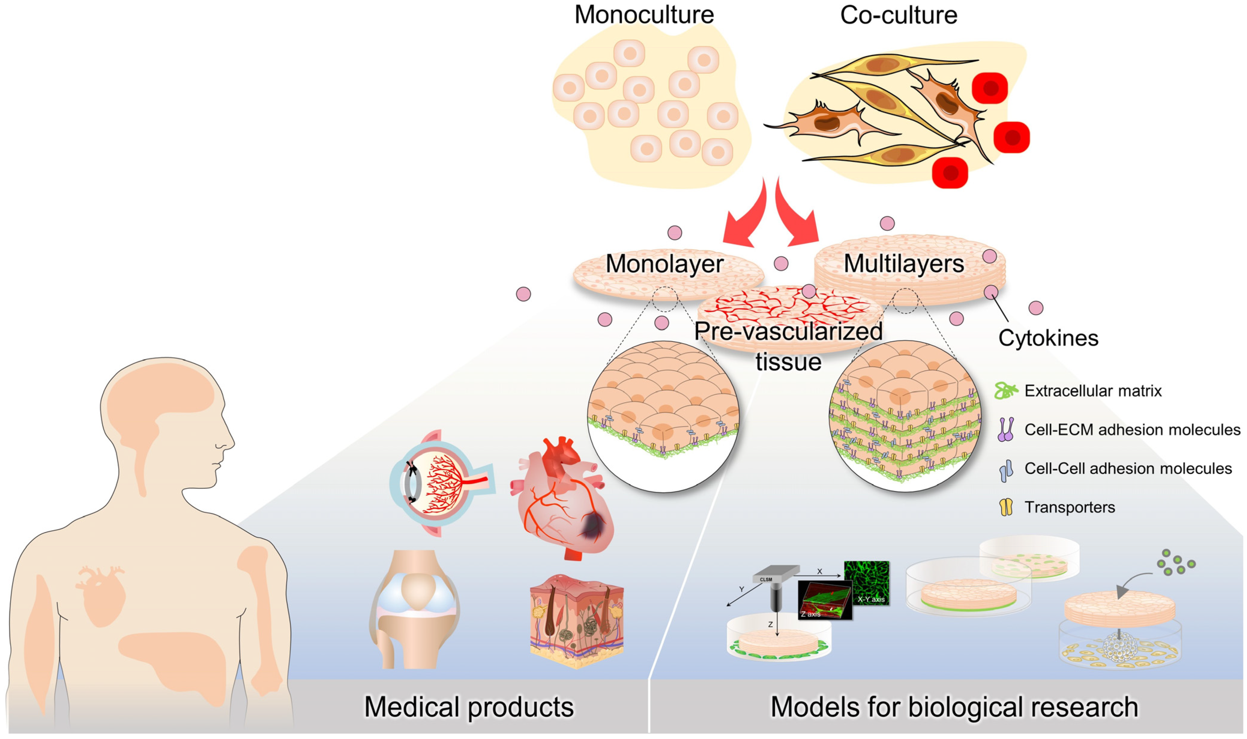 Bioengineering 10 00211 g005