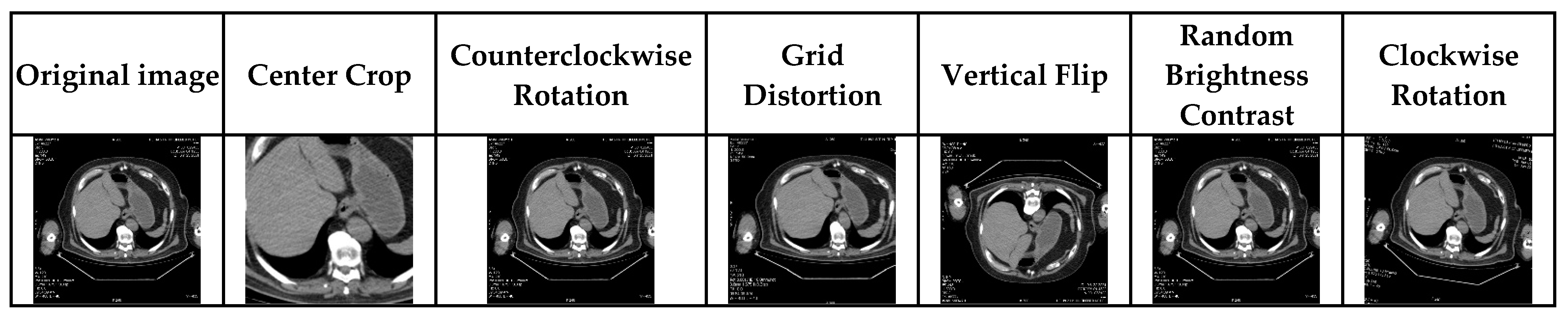 Bioengineering 10 00215 g004 Bioengineering 10 00215 g004