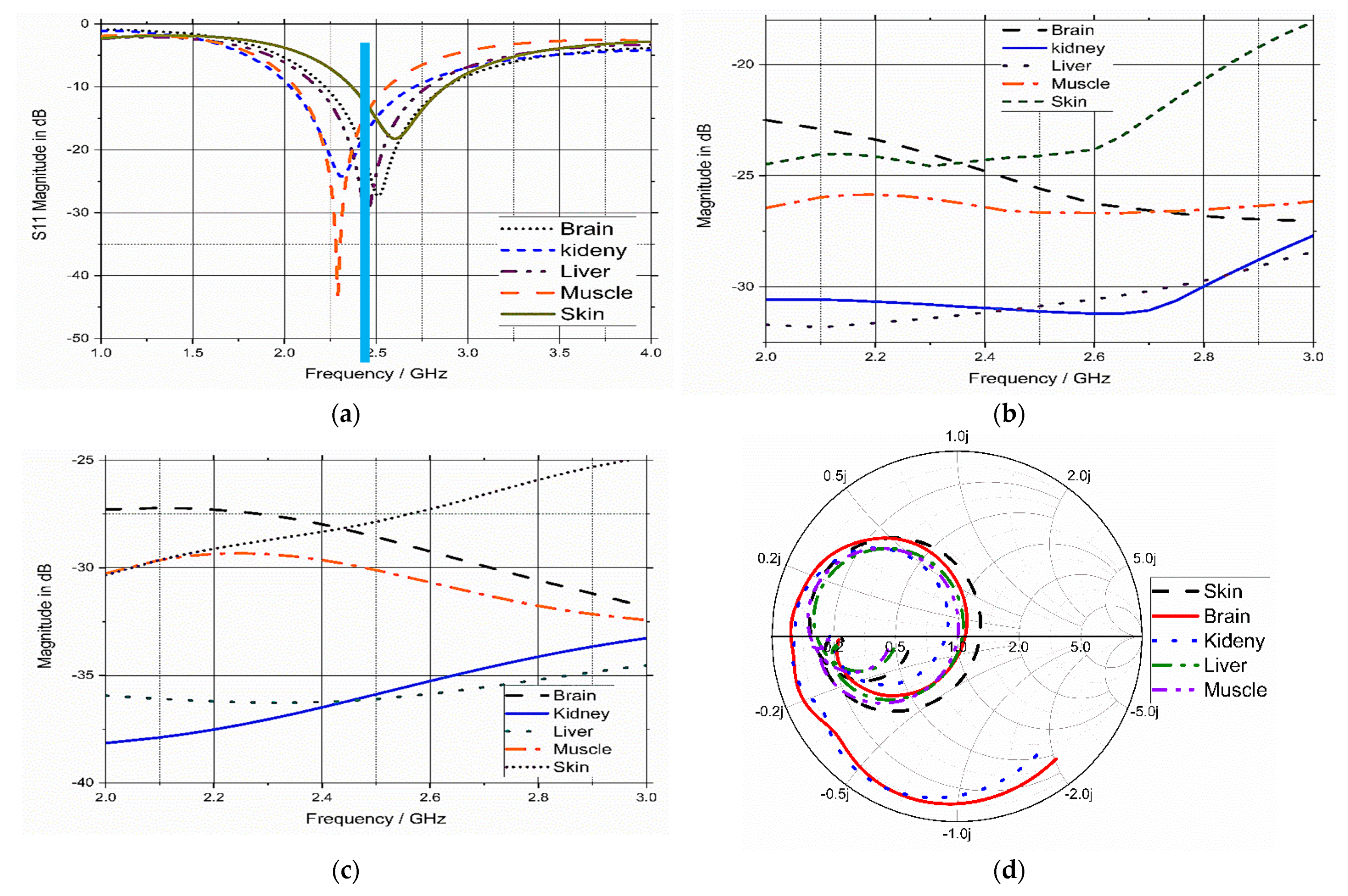 Bioengineering 10 00216 g012