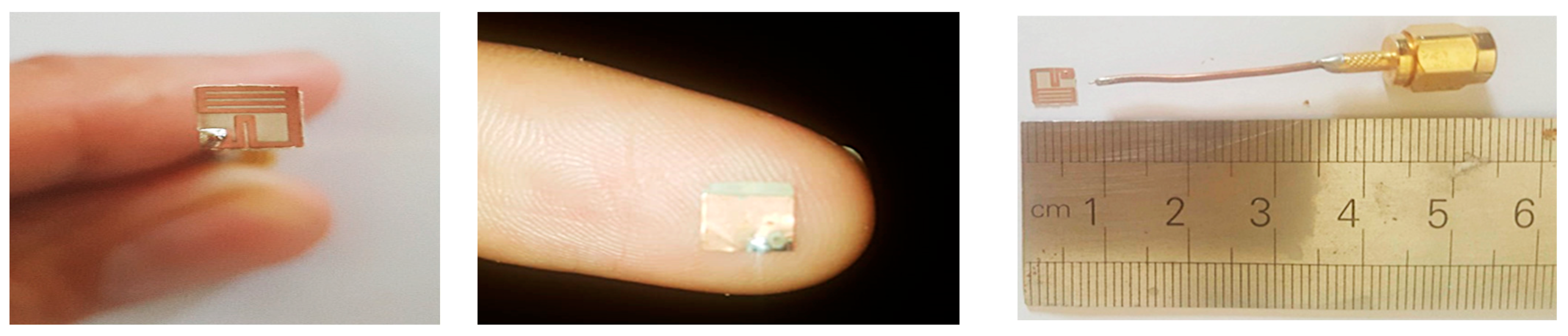 Bioengineering 10 00216 g015