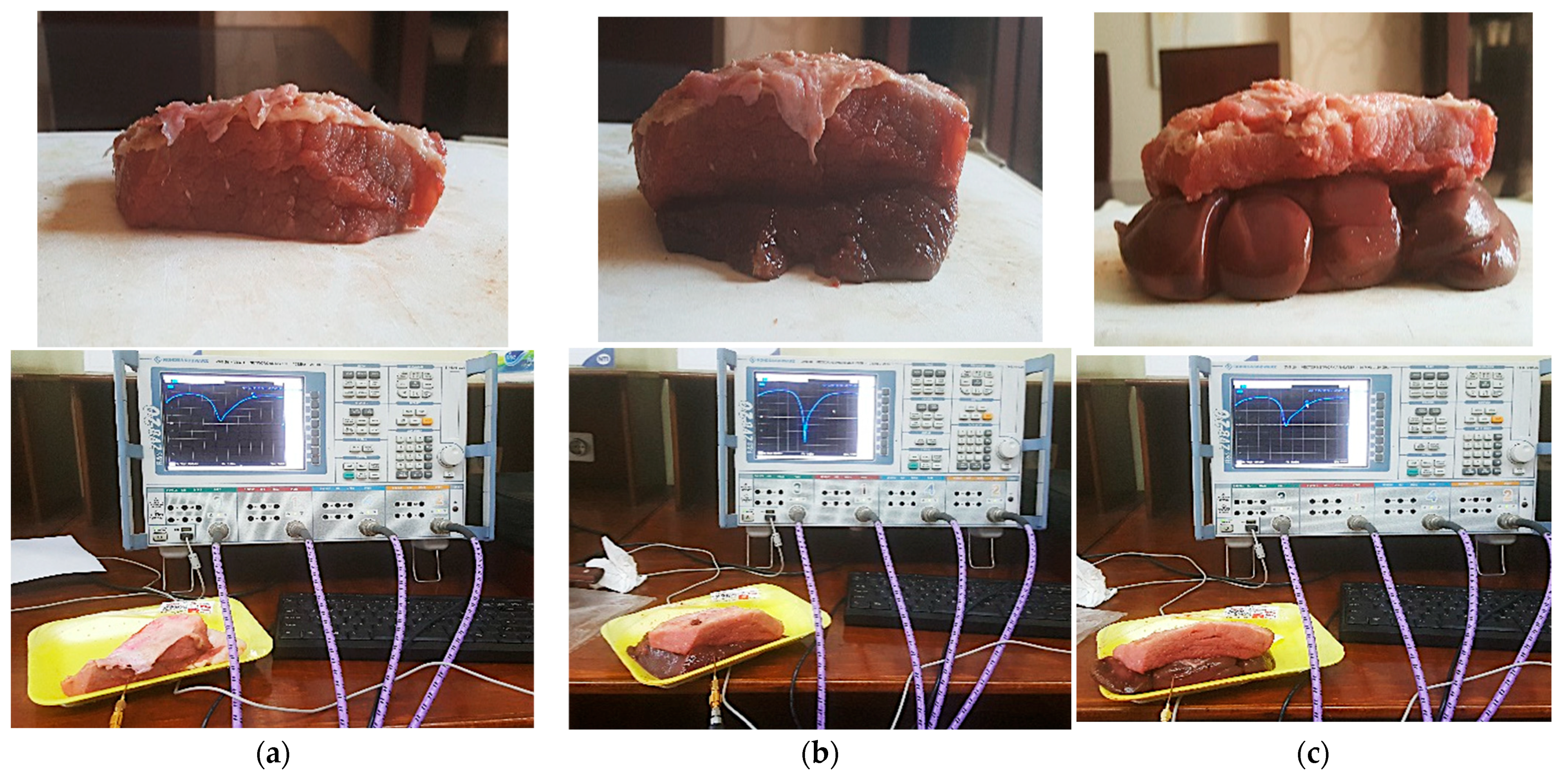 Bioengineering 10 00216 g016