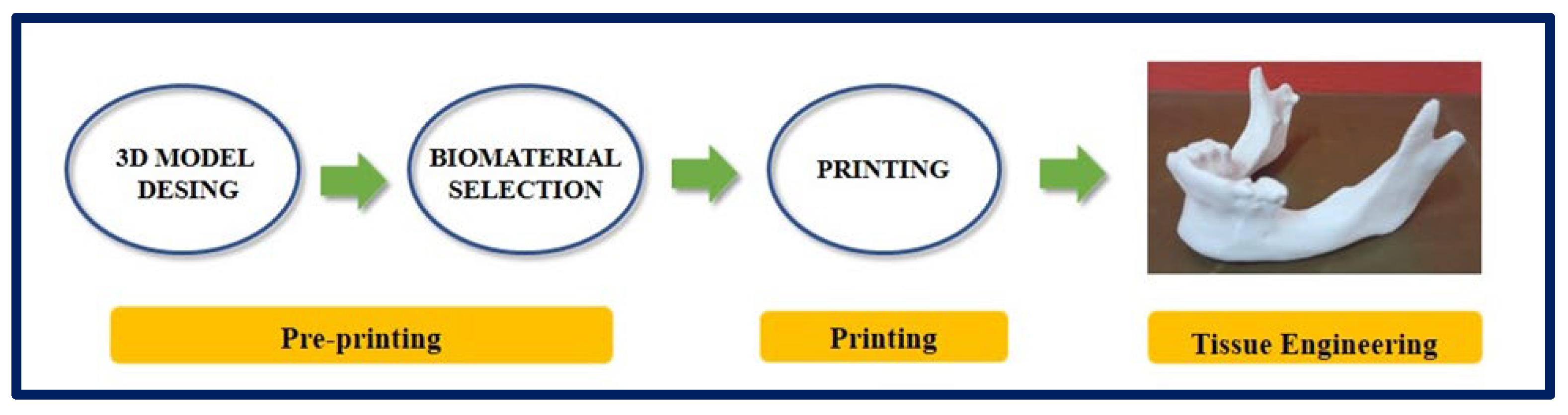 Bioengineering 10 00218 g012 Bioengineering 10 00218 g012