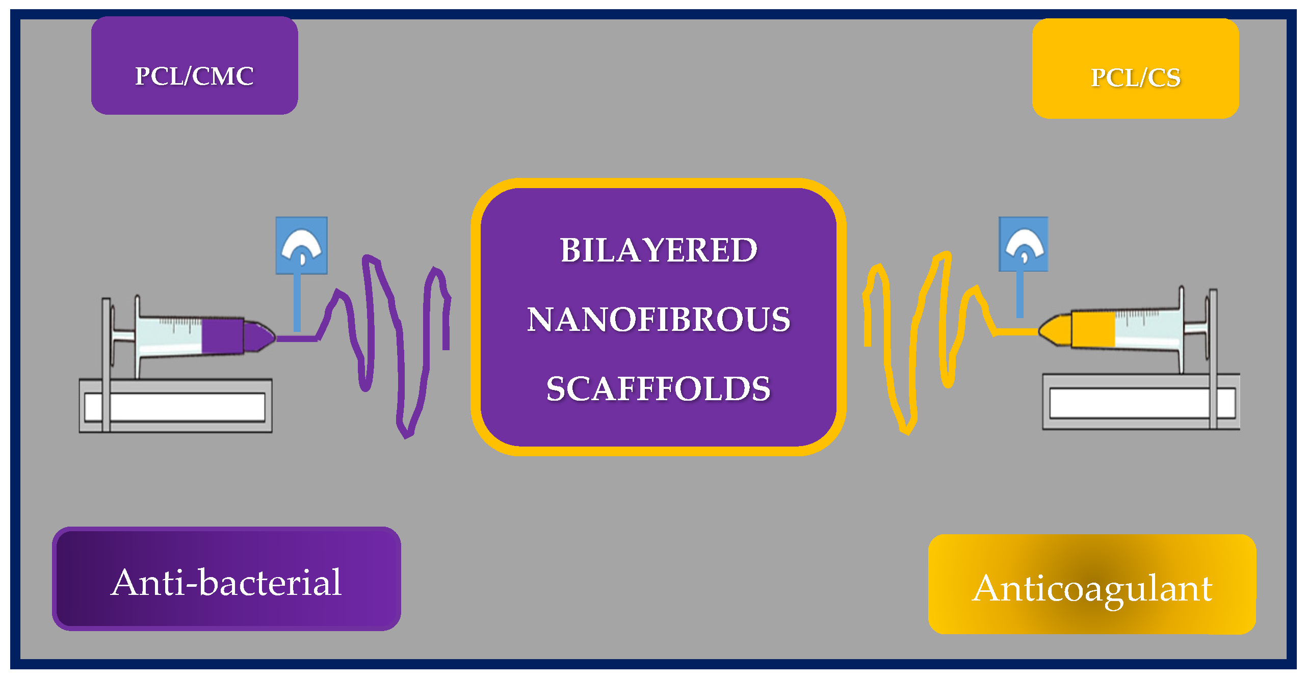 Bioengineering 10 00218 g020 Bioengineering 10 00218 g020