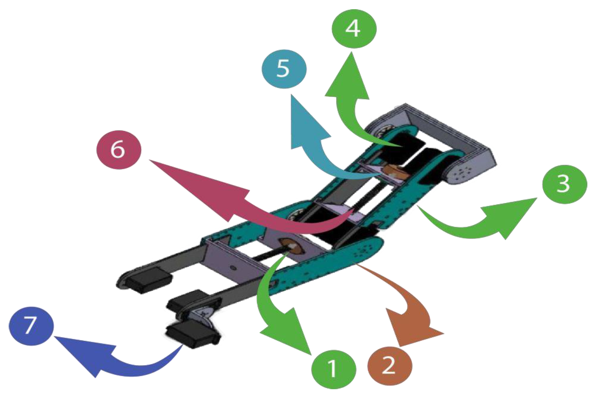 Bioengineering 10 00219 g002