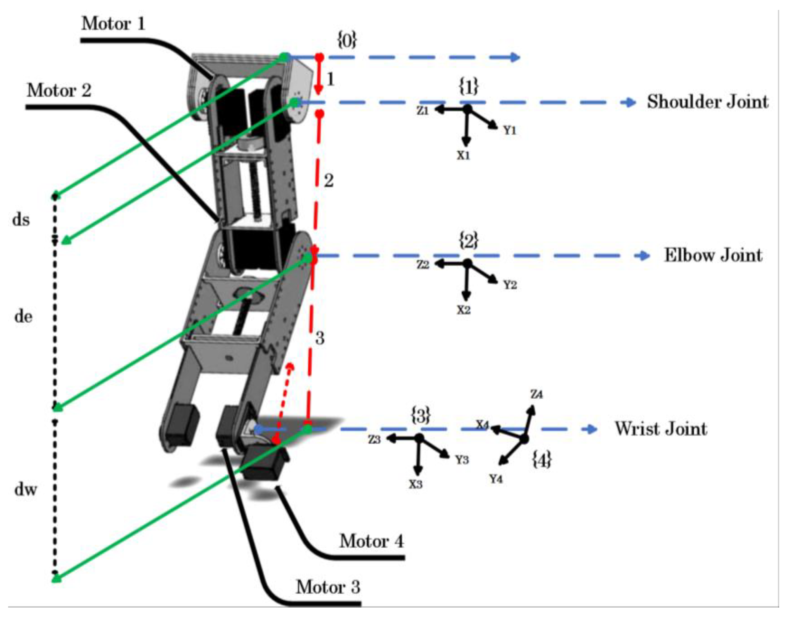 Bioengineering 10 00219 g003