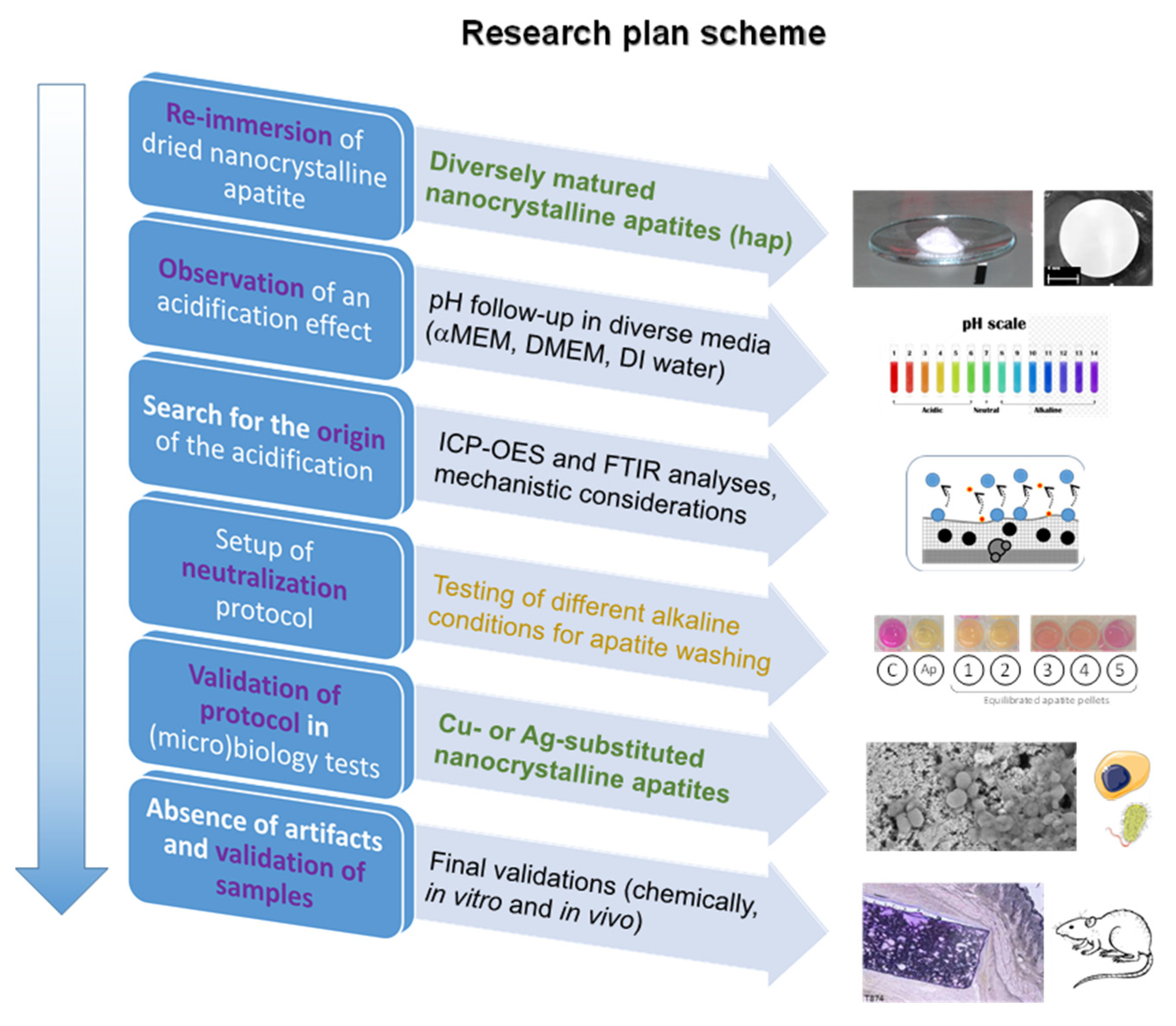 Bioengineering 10 00220 g001